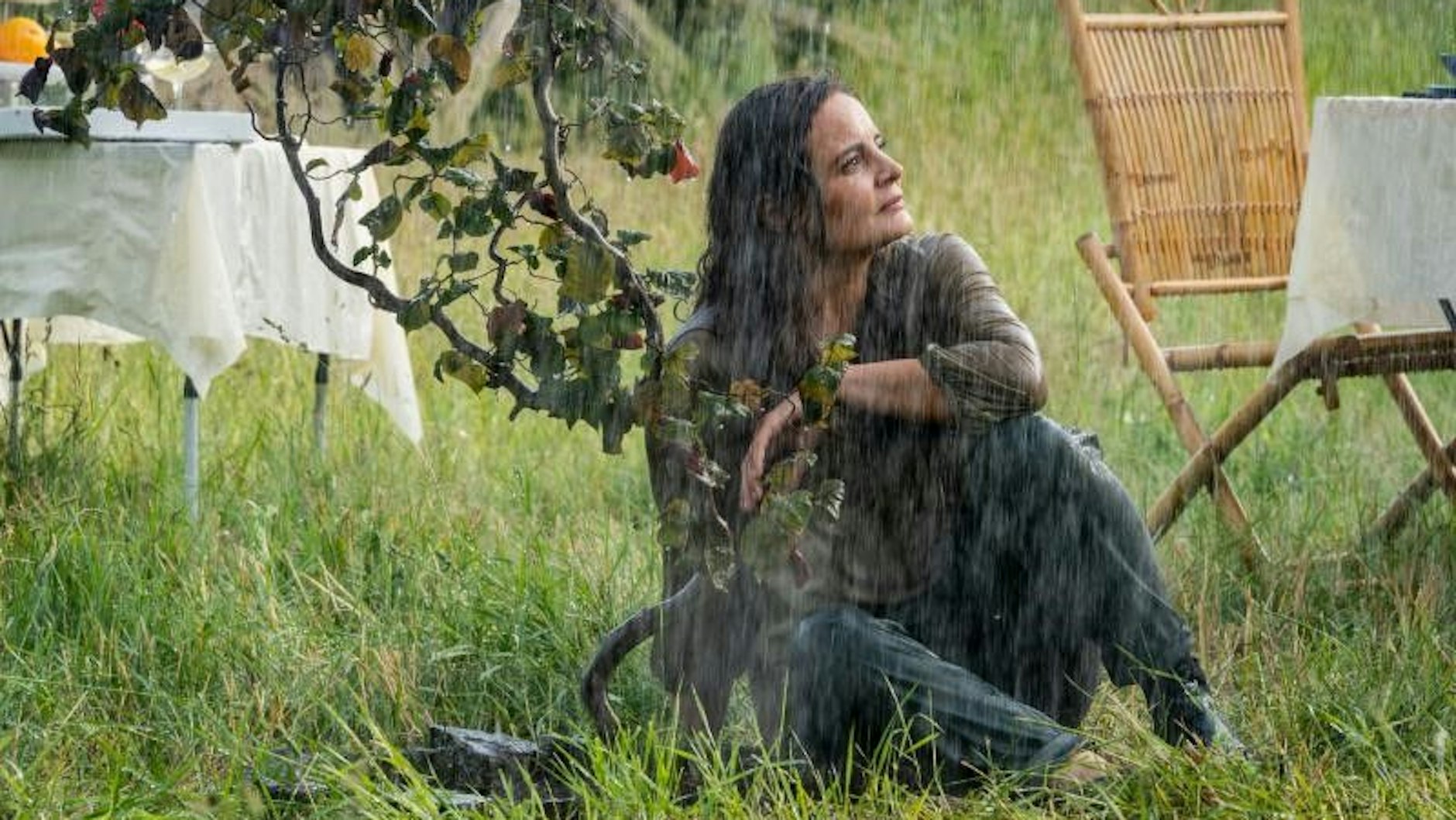 Beruflich und privat hat sich im Leben von Tierärztin Dr. Mertens einiges verändert.