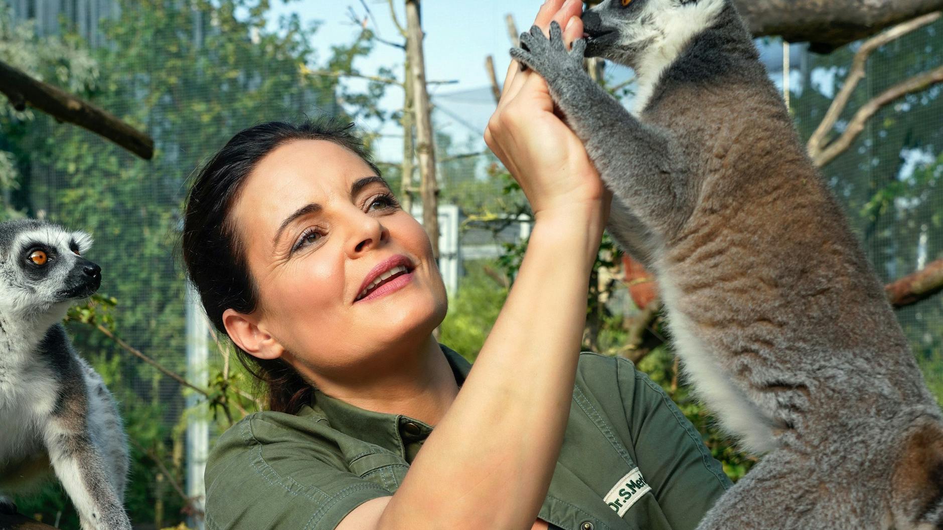 Tierärztin Dr. Susanne Mertens (Elisabeth Lanz) kehrt auf die Fernsehbildschirme zurück.
