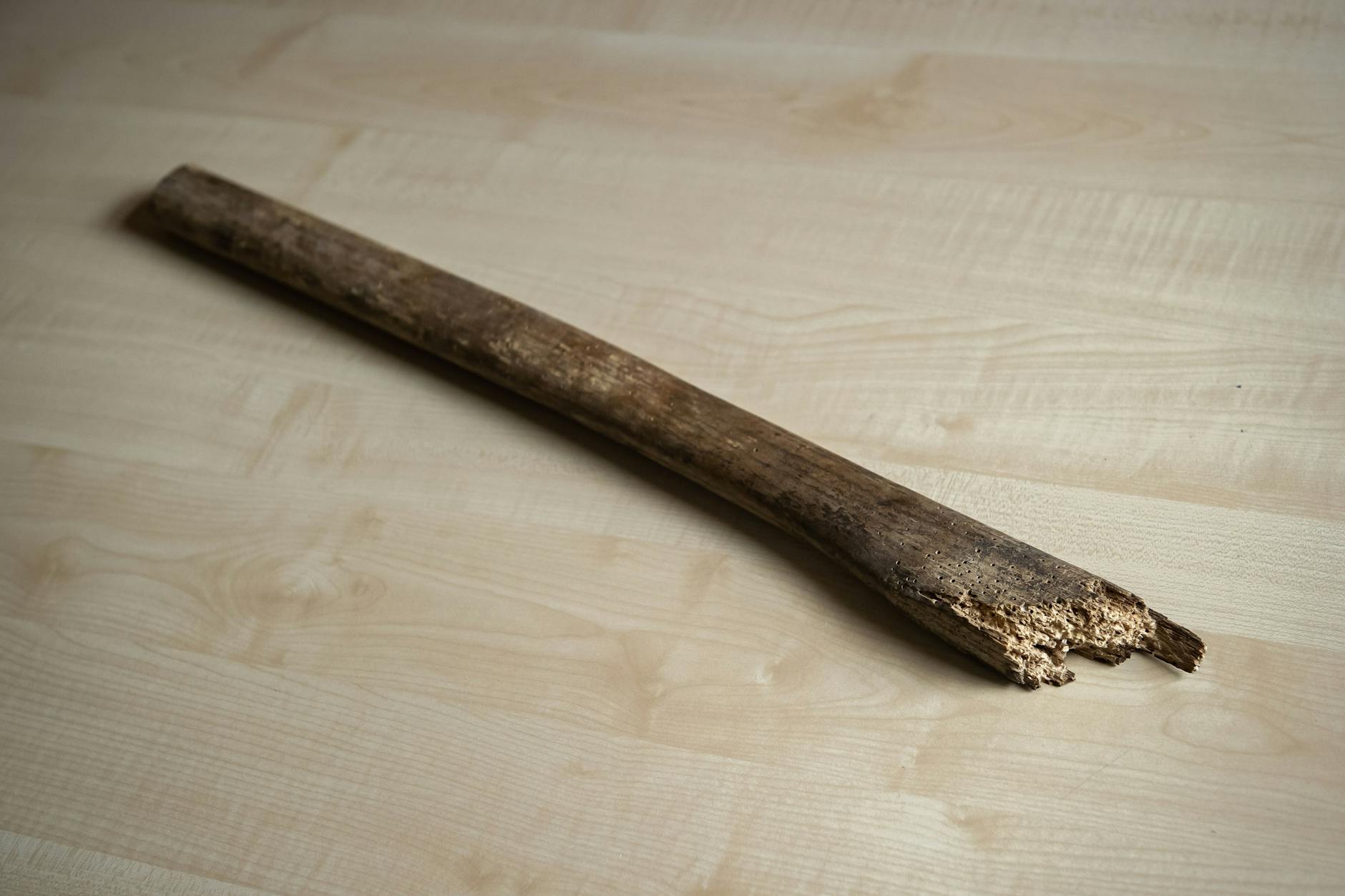 Der abgebrochene Stiel der Axt, mit der Karl-Heinz D. erschlagen wurde