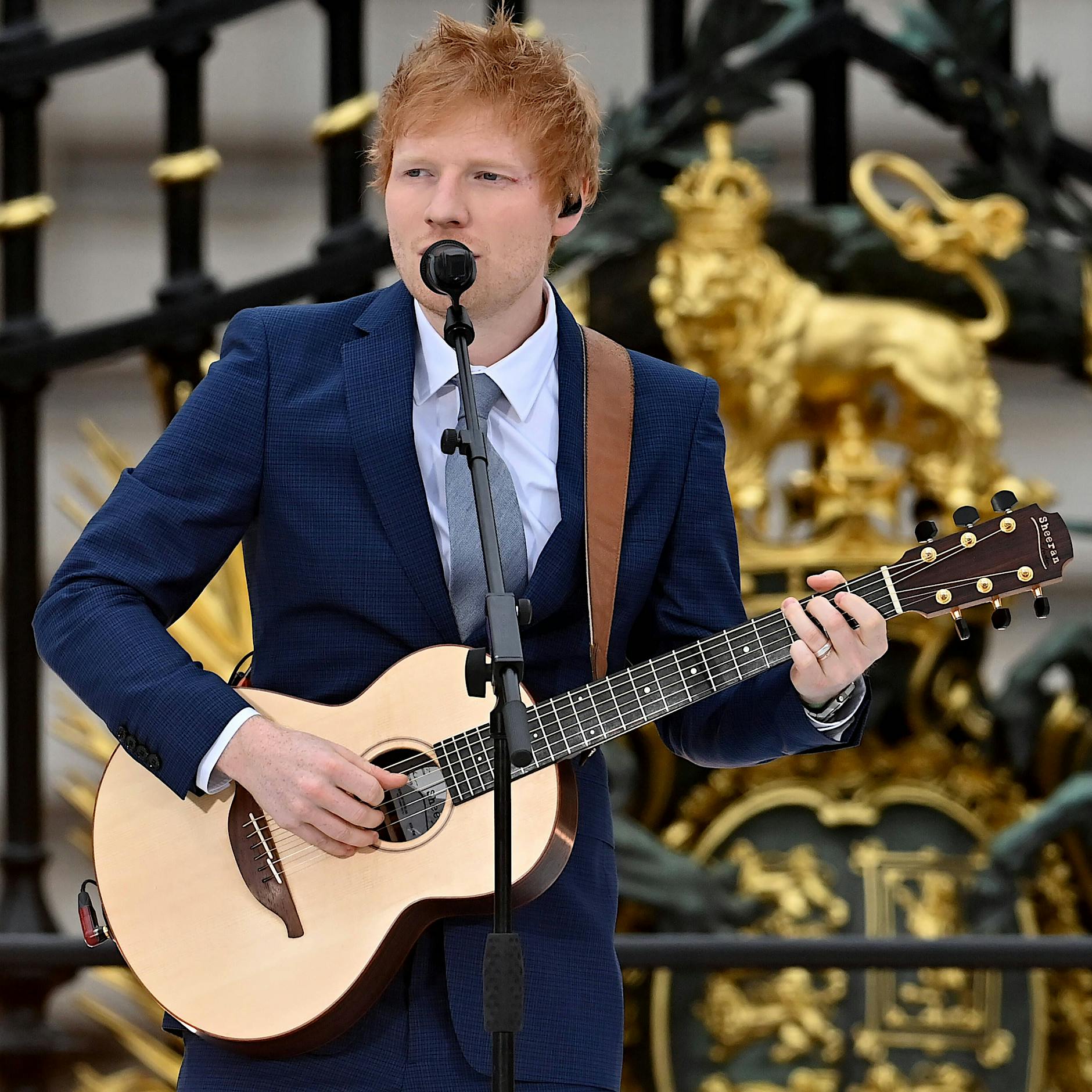 Die Woche auf dem Boulevard: Produktpalette mit Untenrum-Muster