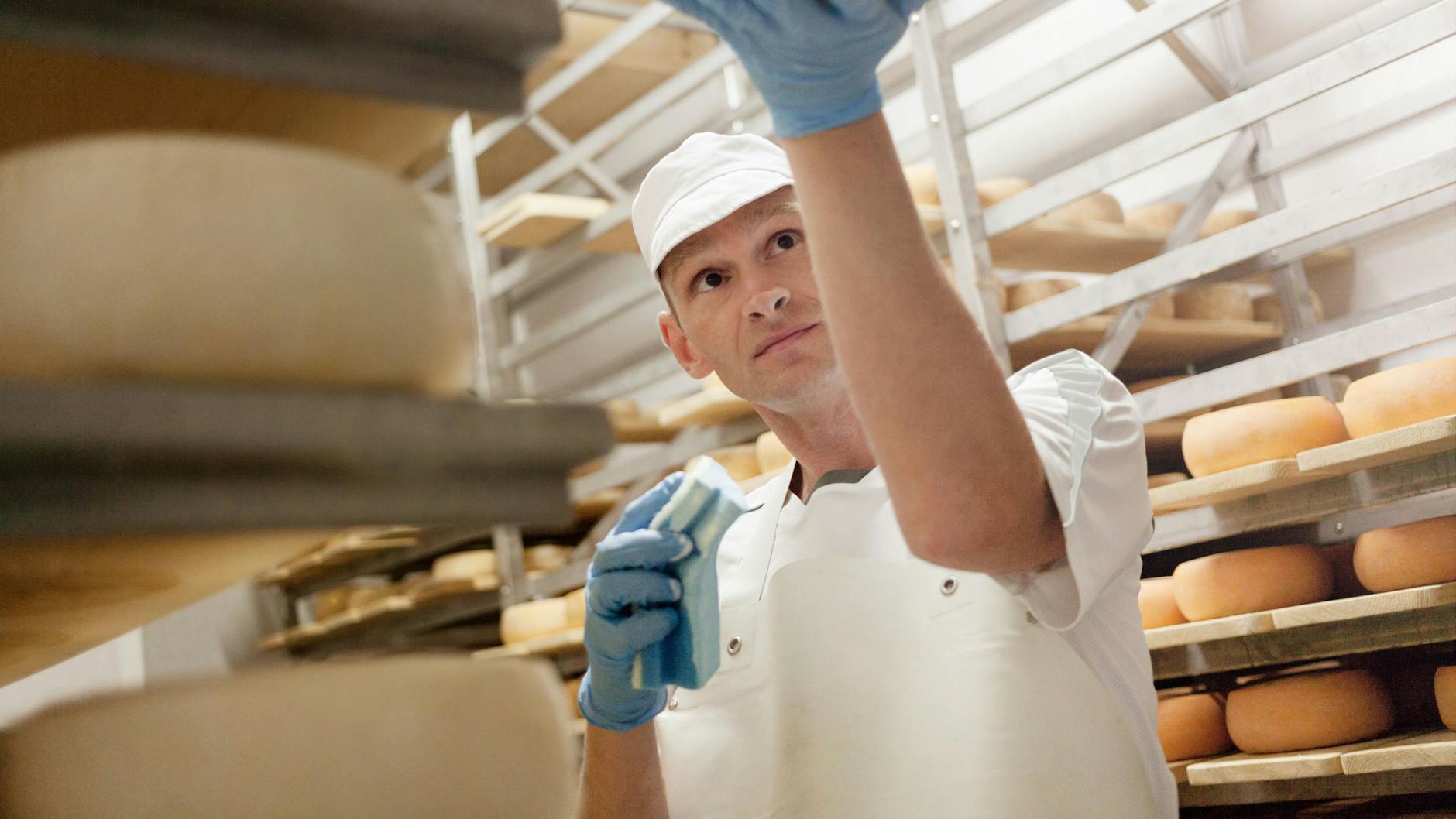 Hier wird auch Charles mitmachen dürfen: bei der Produktion des Brodowiner Bauernkäses.