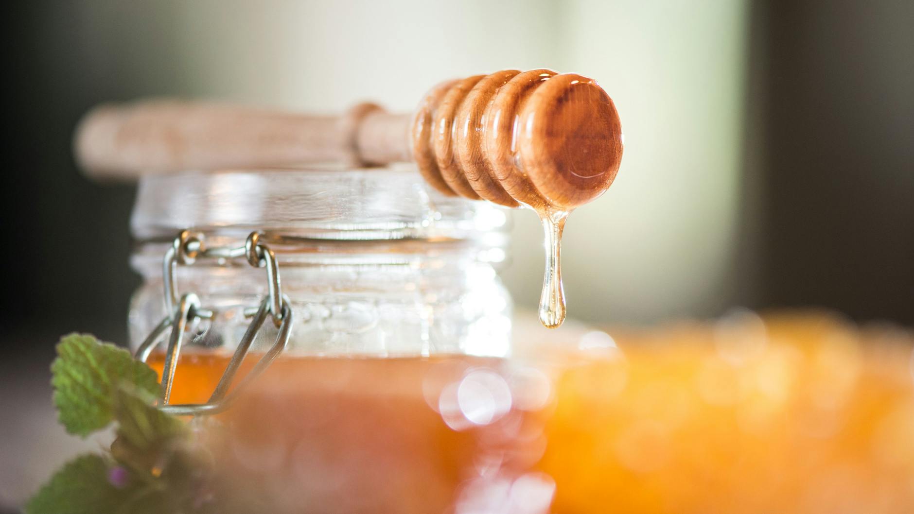 40 Prozent des Honigs in der EU ist importiert – und die Hälfte verwässert oder mit billigem Zuckersirup gestreckt.