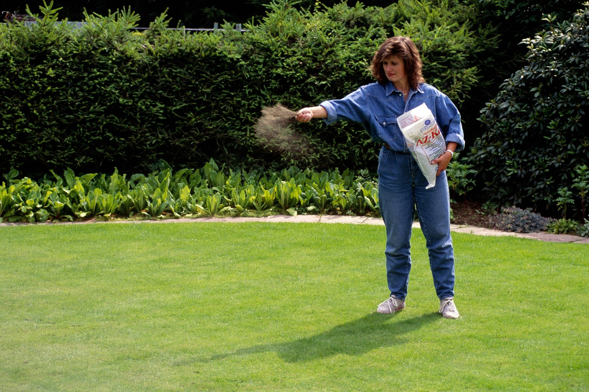 Die richtige Pflege des Rasens nach dem Winter und der richtige Dünger sind wichtig, damit der Rasen im Sommer saftig grün ist.