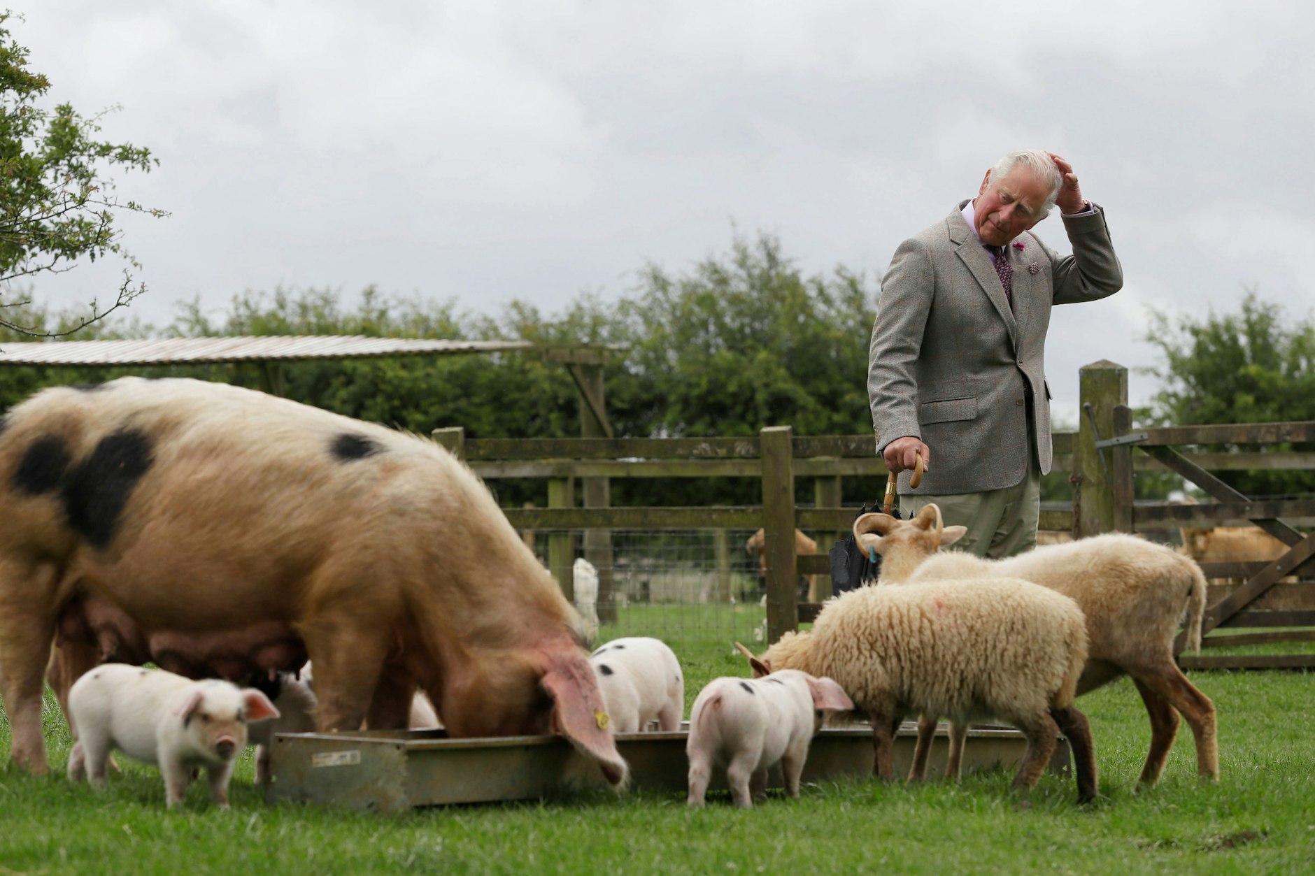 Mag’s ländlich: Charles, damals noch Thronfolger, im Jahr 2020 bei einem Besuch im Cotswold Farm Park in der Nähe von Cheltenham.