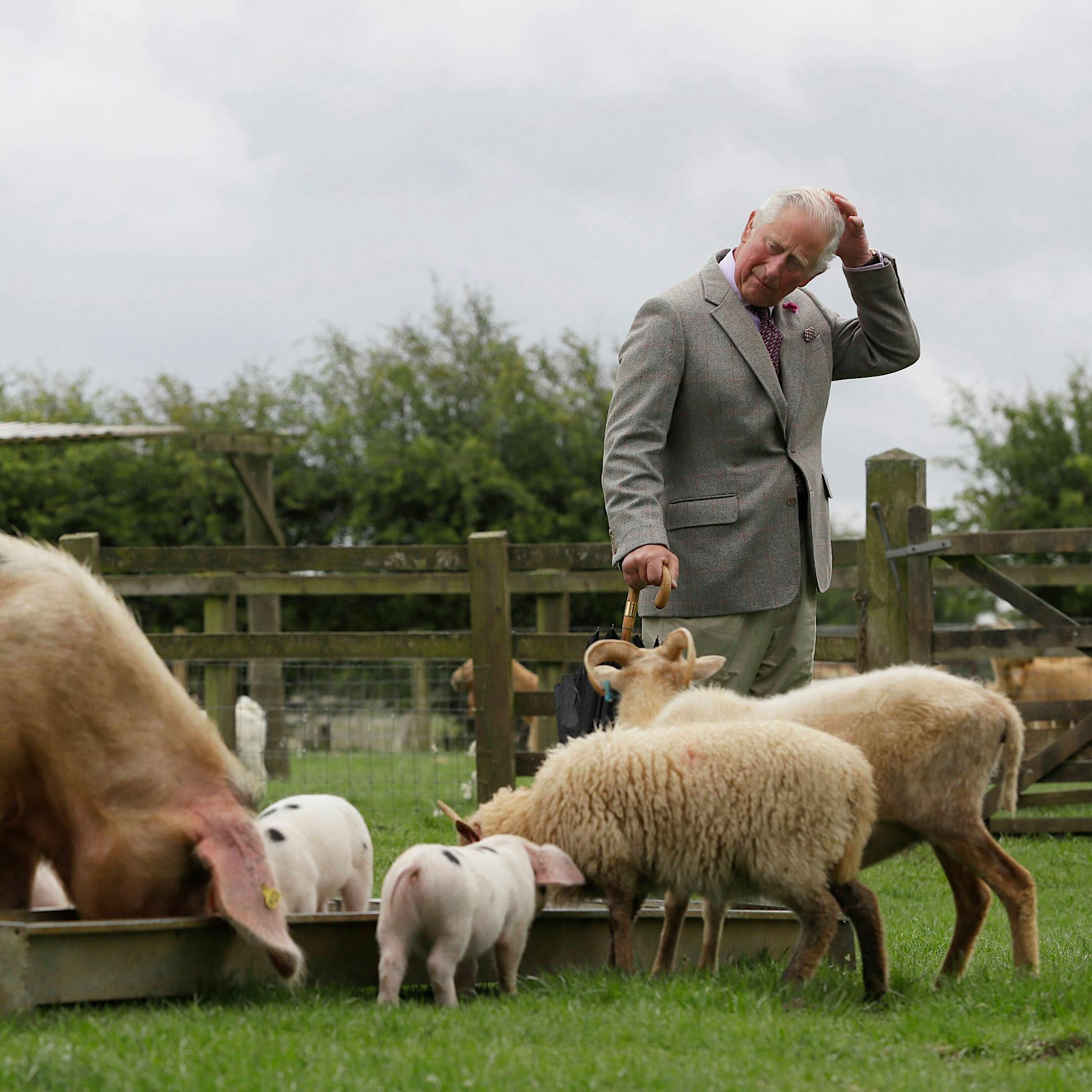 Raus aufs Land: Wie König Charles in Brandenburg empfangen wird