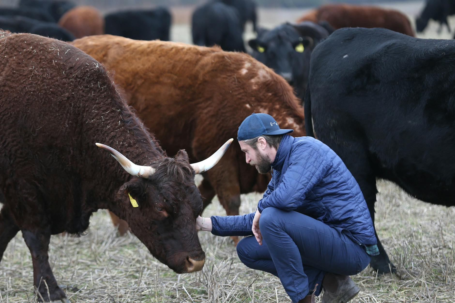 Mensch und Tier: Benedikt Bösel leiten den Hof „Gut & Bösel“ und veröffentlicht nun das Buch „Rebellen der Erde“.