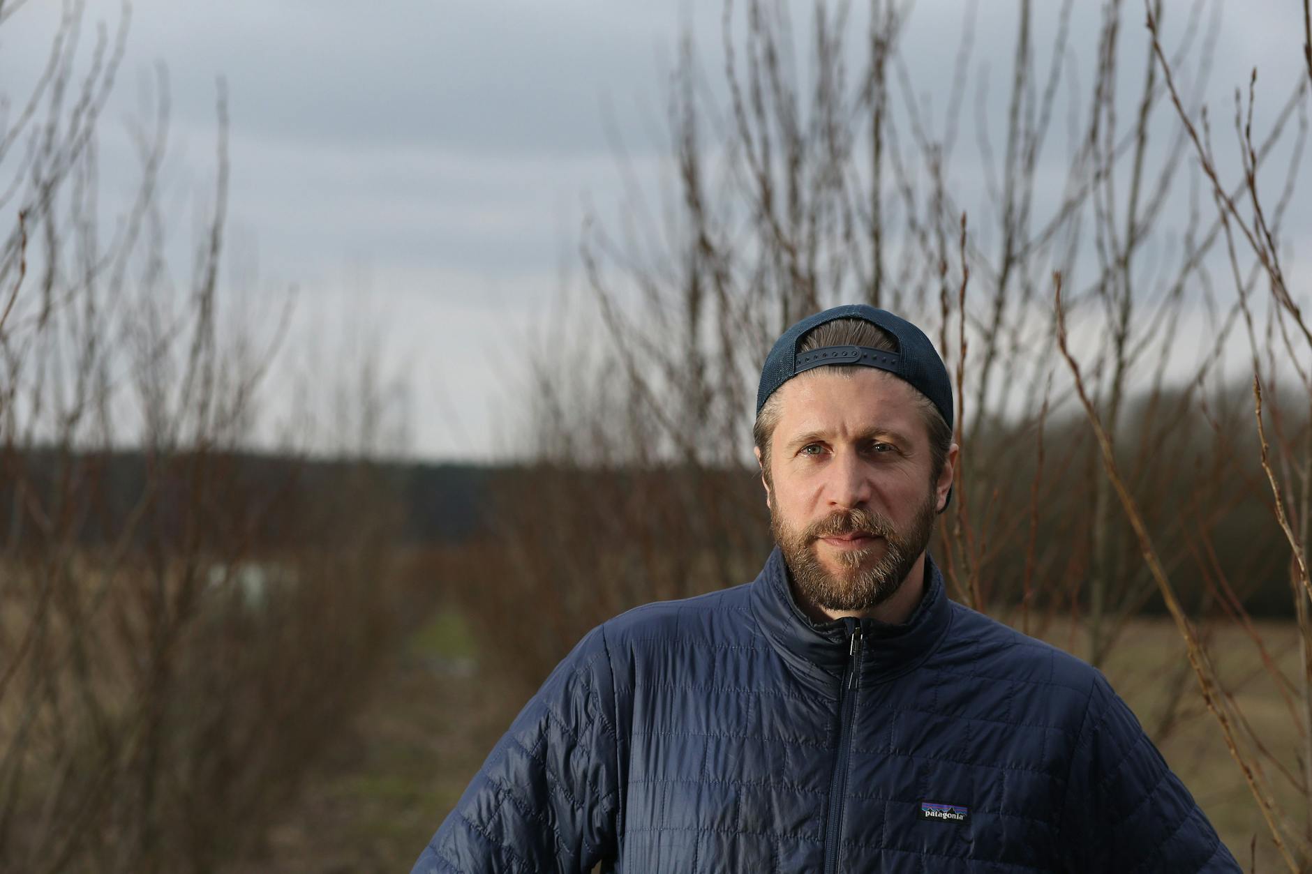 Schutz des Bodens: Die langen Baumreihen hat Benedikt Bösel mitten aufs Feld pflanzen lassen, sie sollen den Boden vor Wind schützen.