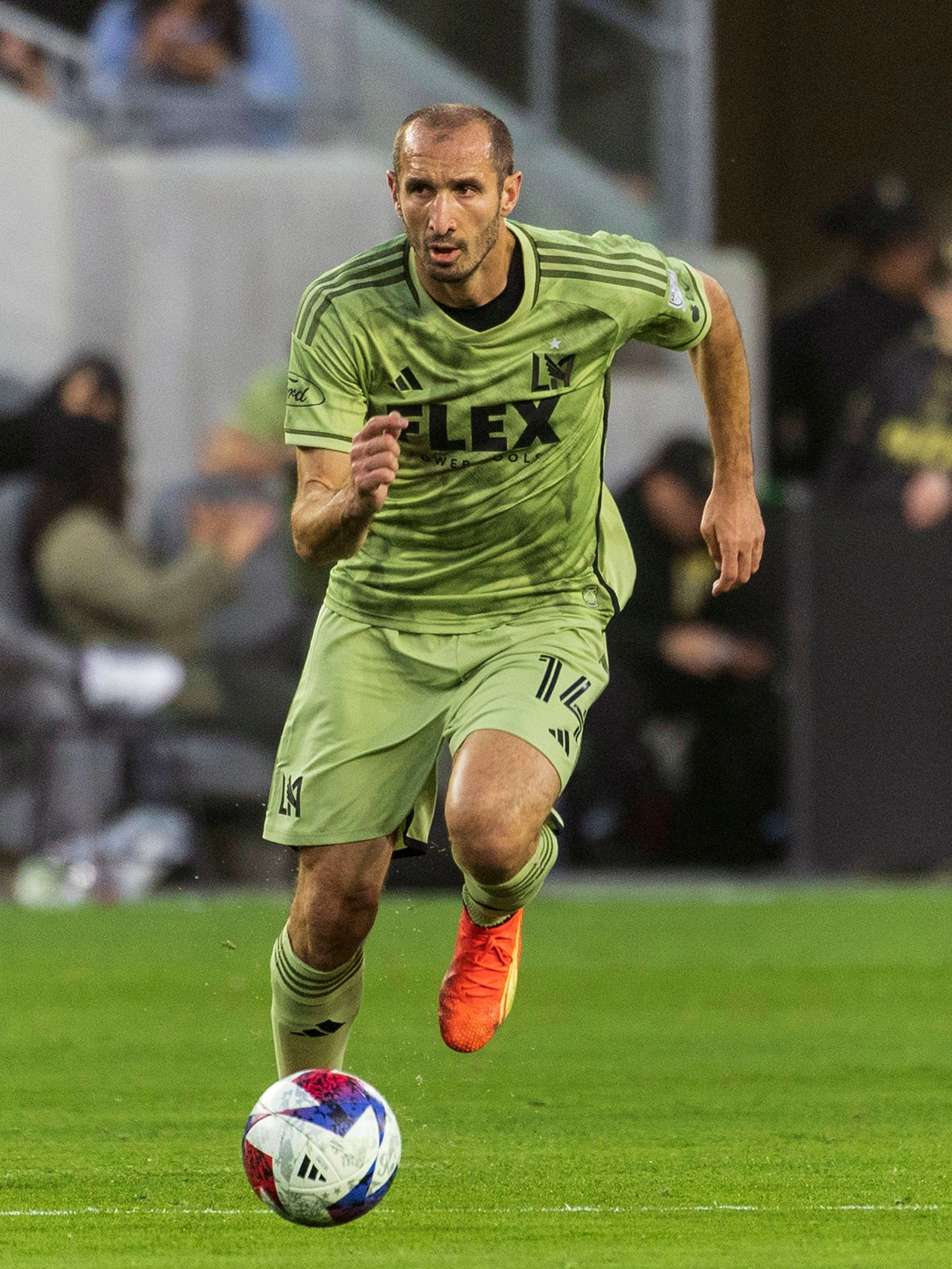 Giorgio Chiellini in Aktion: der Italiener hier mit dem Trikot vom Los Angeles Football Club