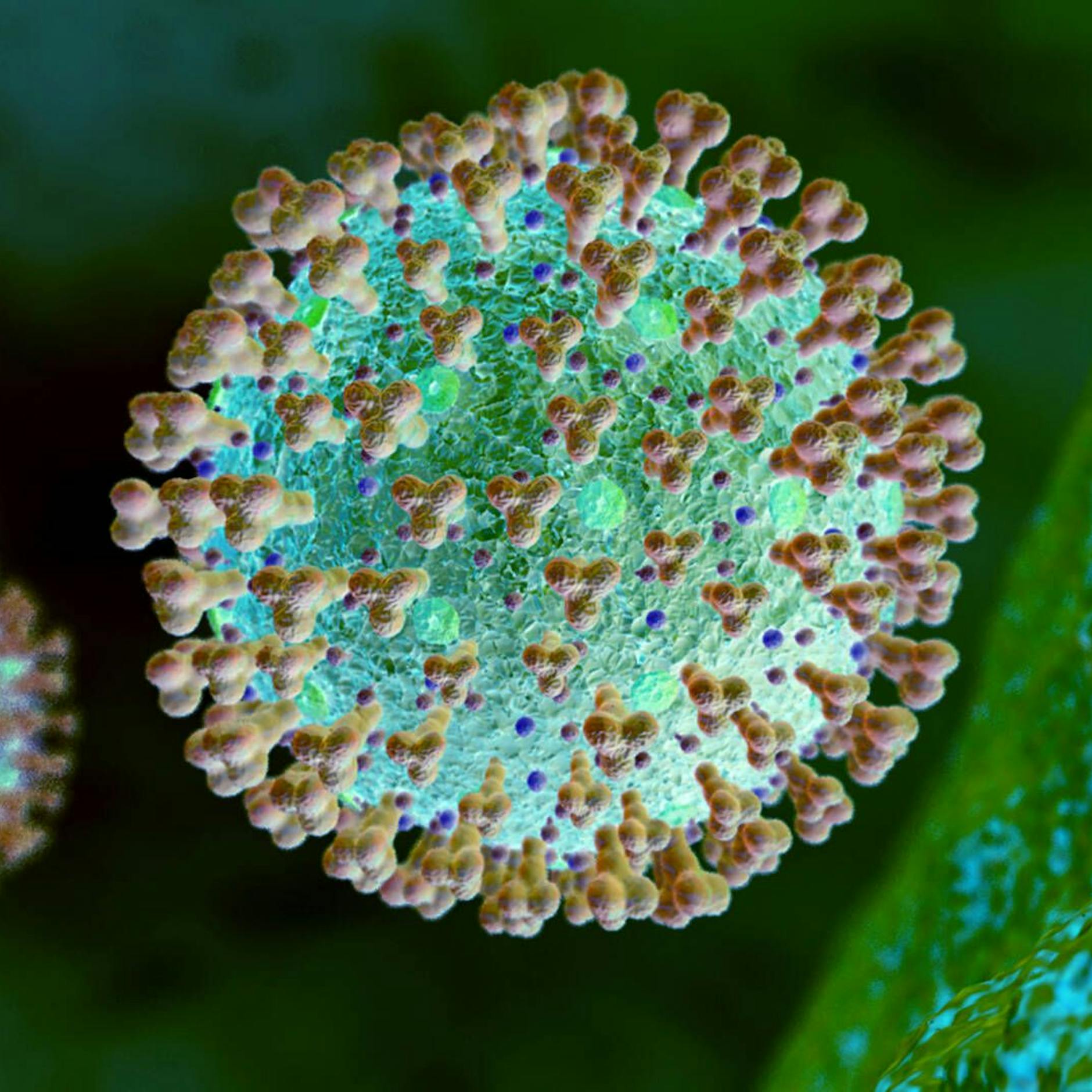 Image - Wie gefährlich ist die Corona-Mutation Arcturus?