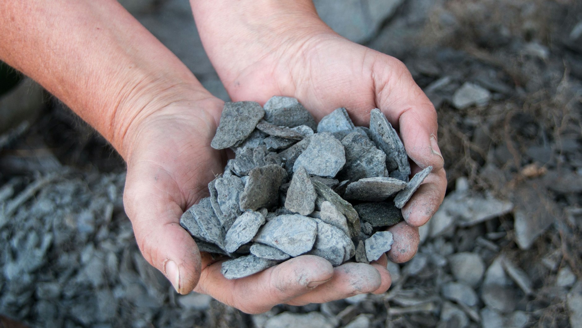 Wie viele Schottergärten es in Deutschland gibt, ist unklar.
