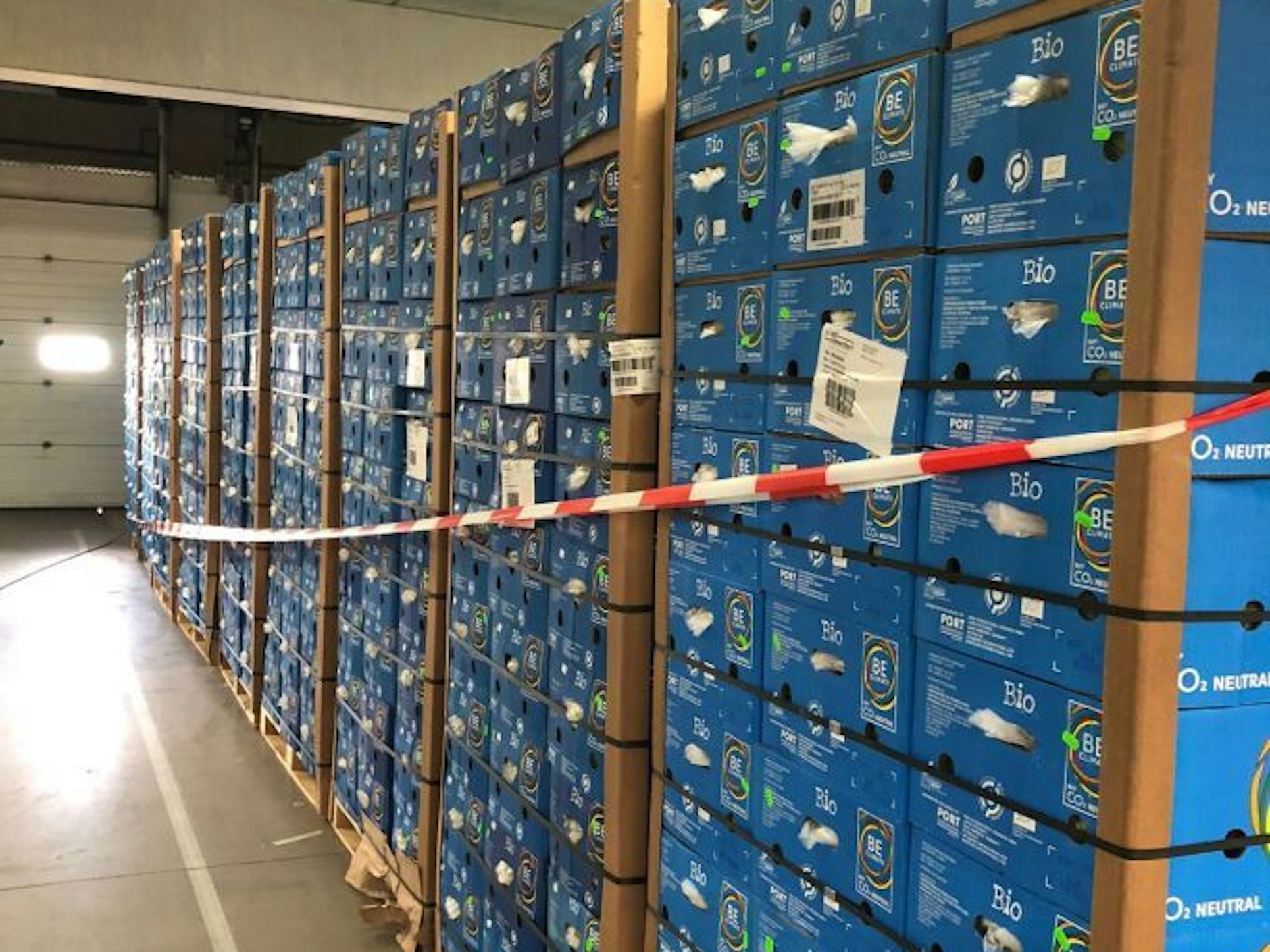 Stapel mit Bananenkisten, in denen sich über 1,2 Tonnen Kokain befanden.