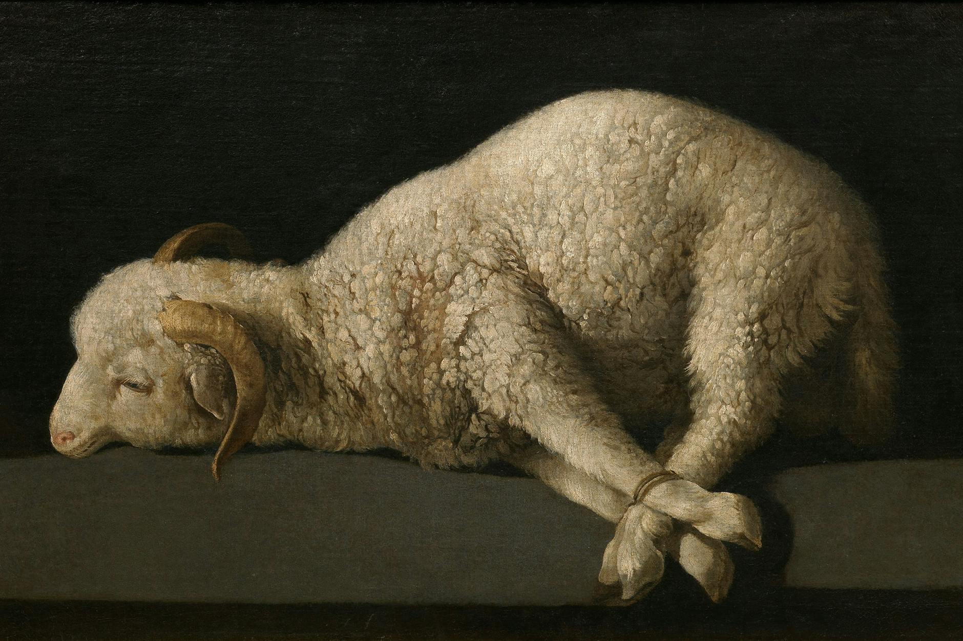 Lamm Gottes von Francisco de Zurbarán (1635/40): eines der berühmtesten Gemälde im Museo del Prado in Madrid.