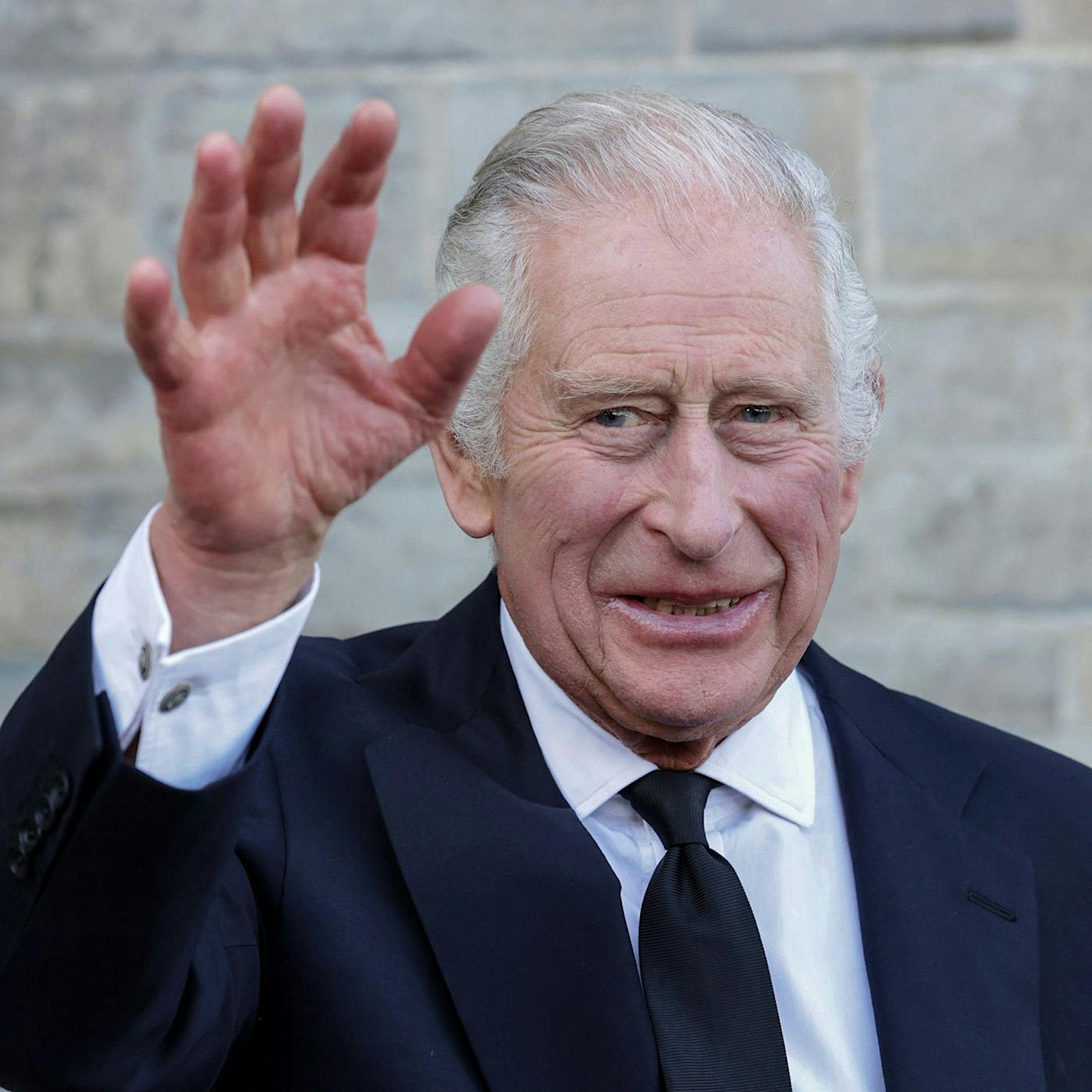 Boykott: Linke kritisiert König-Charles-Rede im Bundestag