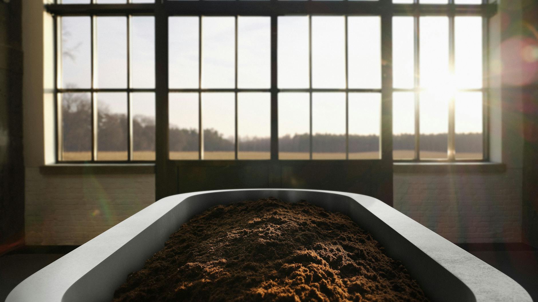 Nach vierzig Tagen ist neue Erde entstanden.