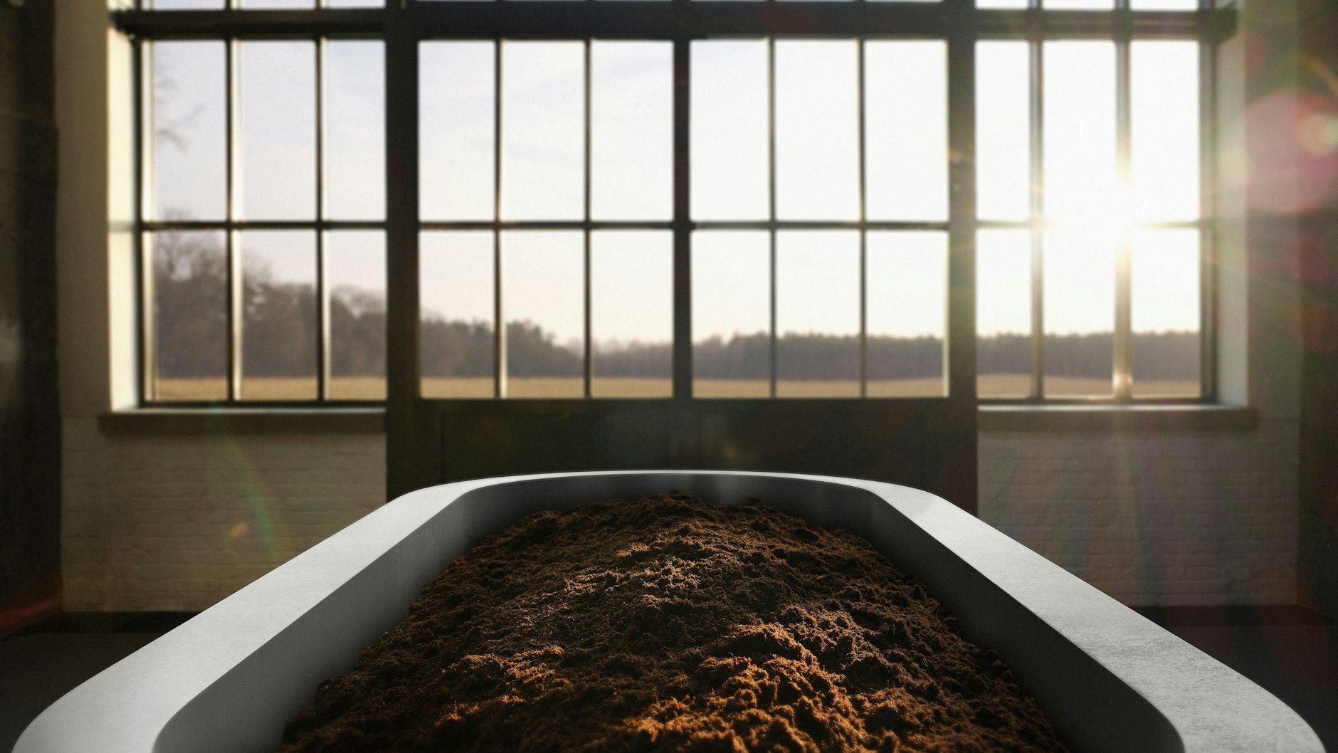 Nach vierzig Tagen ist neue Erde entstanden.