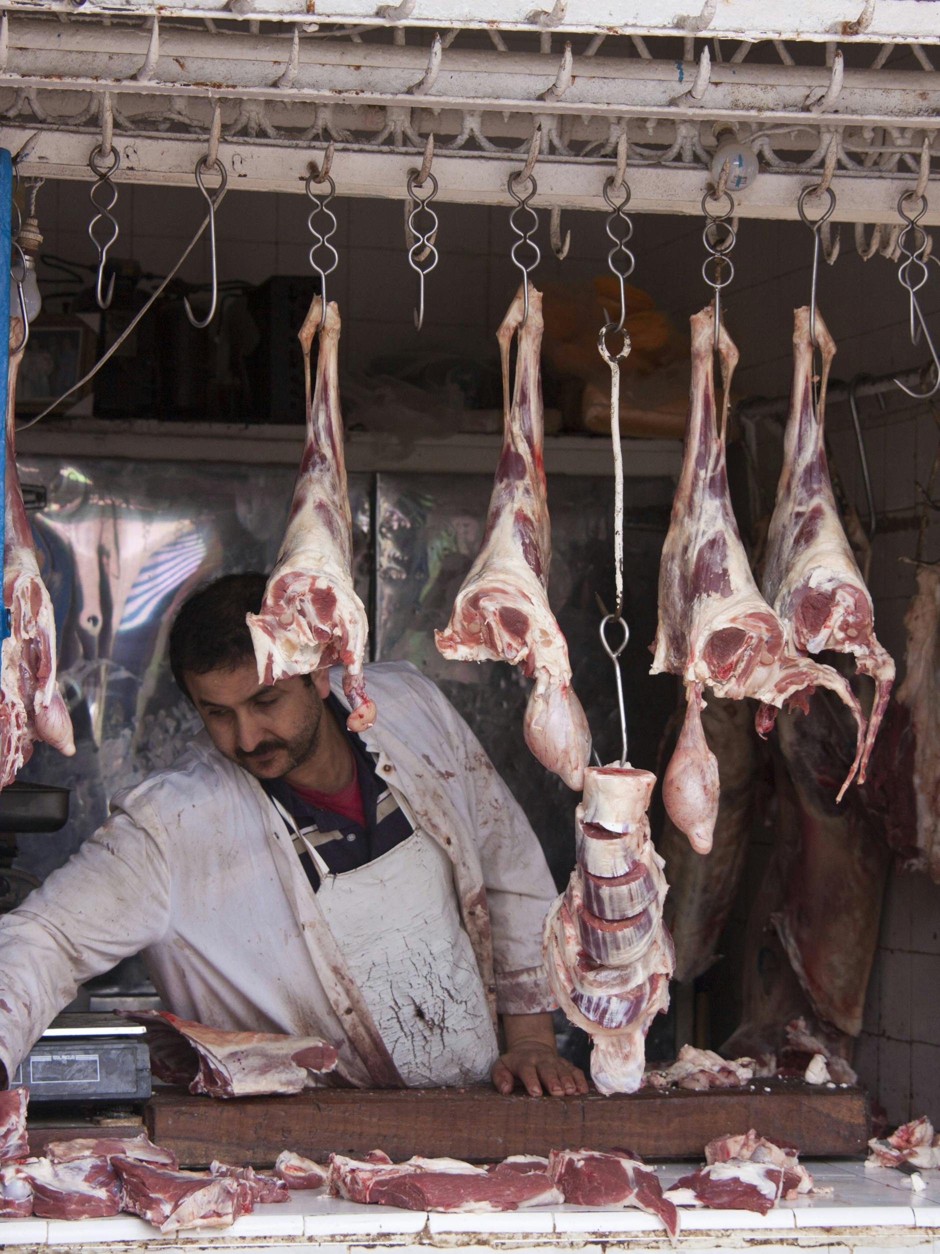 In der ganzen Levante ist Lammfleisch sehr beliebt: auch wir versuchen uns an einem orientalischen Gericht.