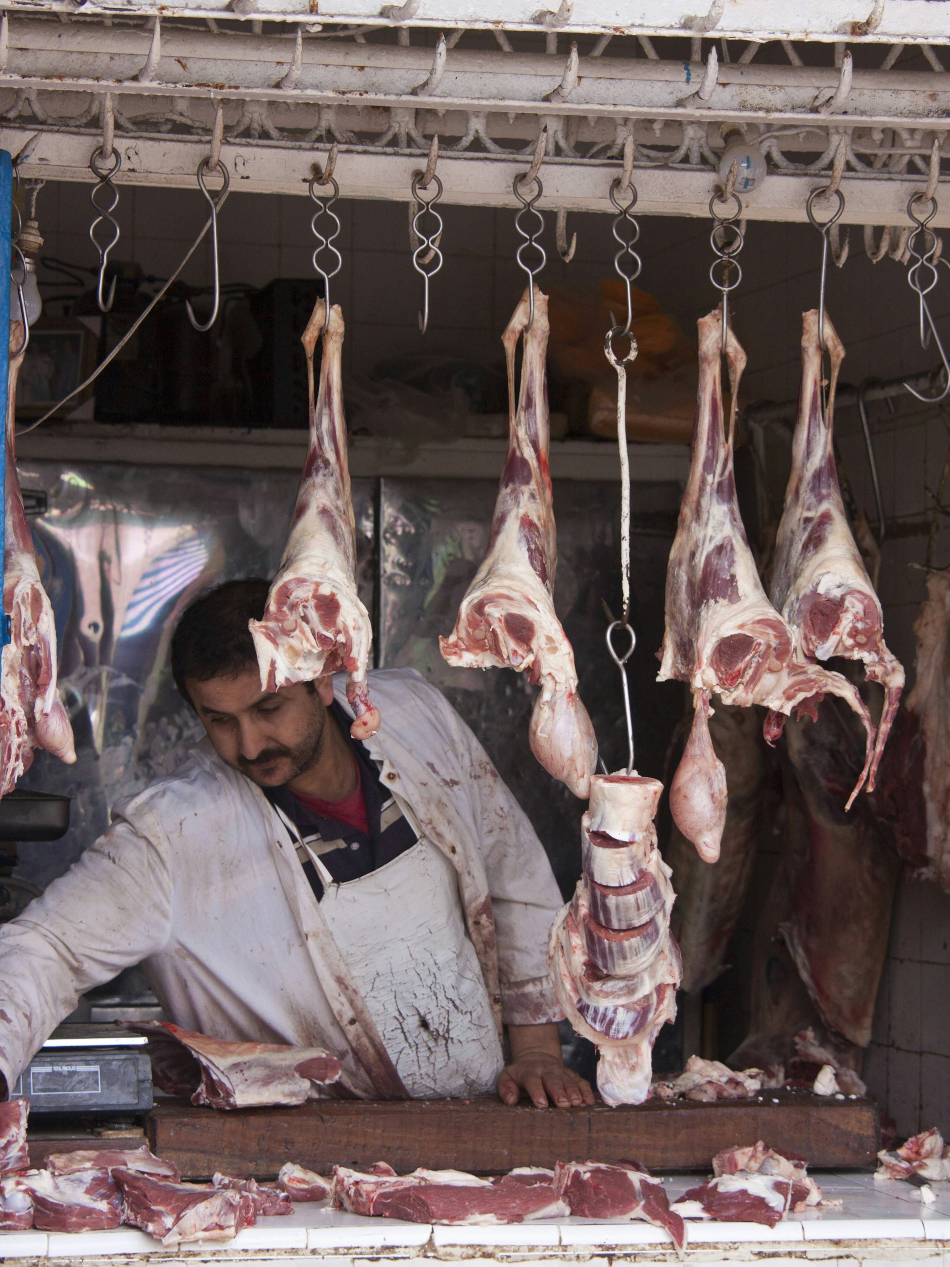 In der ganzen Levante ist Lammfleisch sehr beliebt: auch wir versuchen uns an einem orientalischen Gericht.