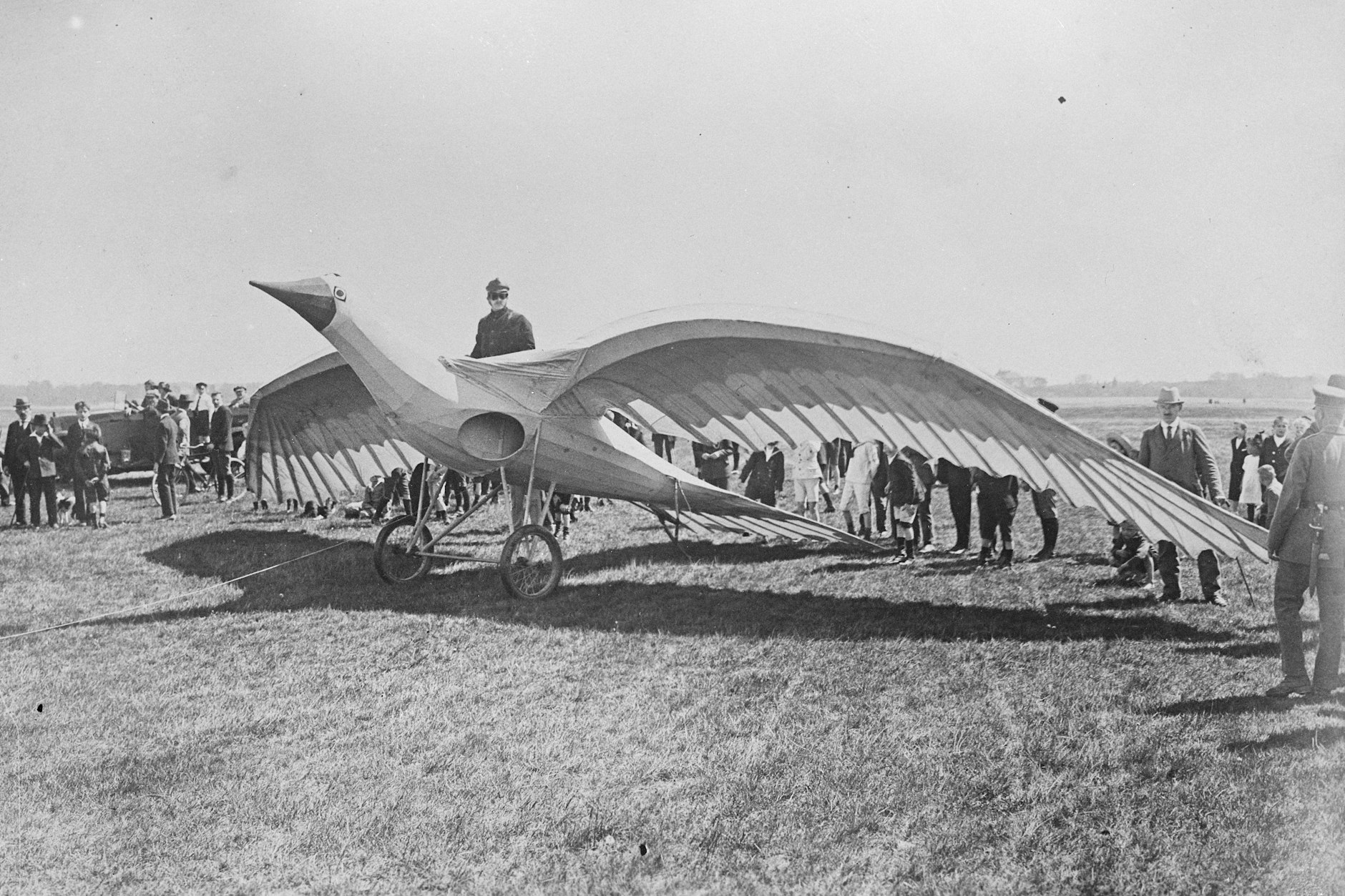 Warum nicht wie ein Vogel? Flugversuche eines Segelflugzeuges in Vogelform am 24. Mai 1922 auf dem Tempelhofer Feld.