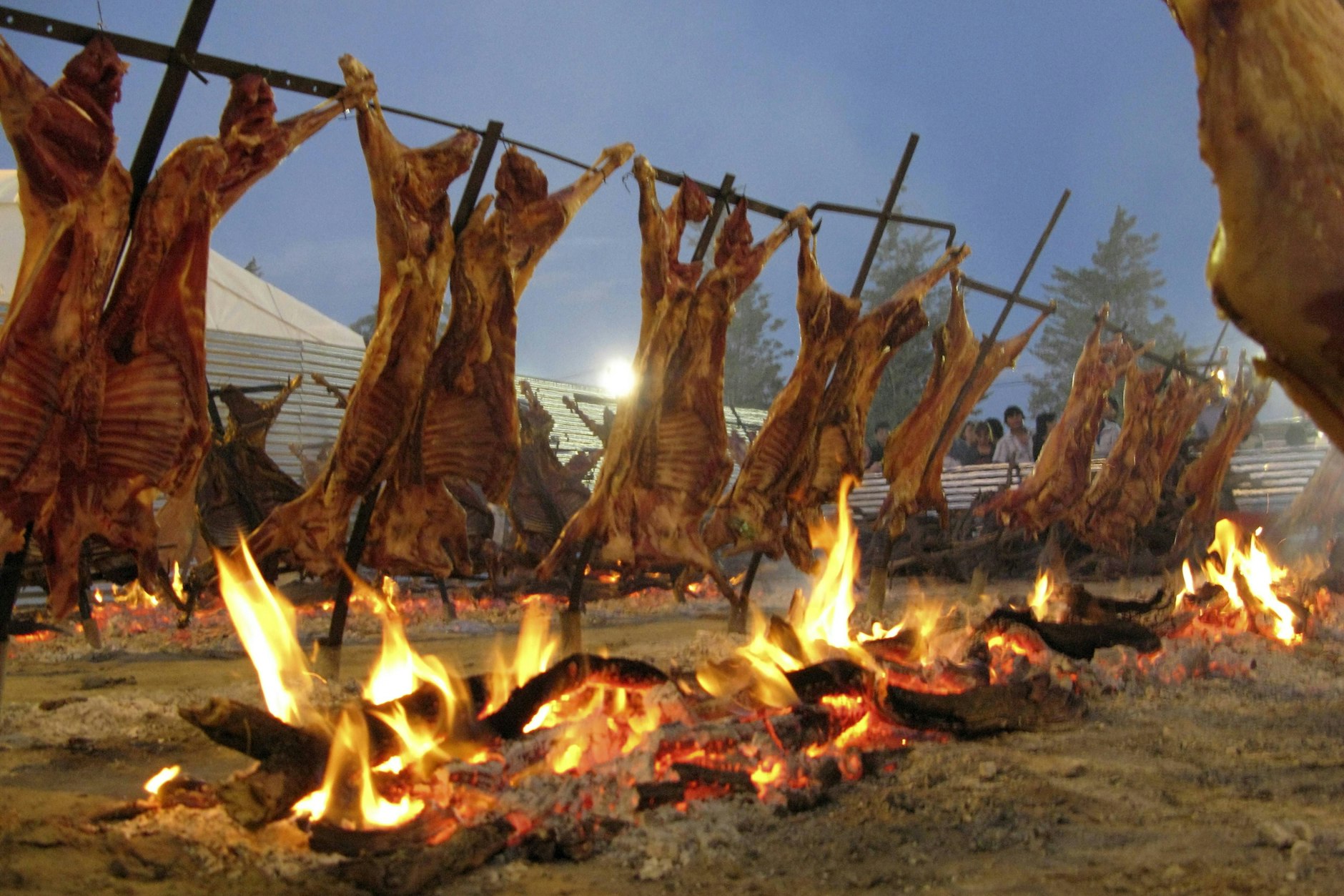 Die Argentinier haben eine Methode entwickelt, mit der sie ihre schmackhaften Merino-Schafe zubereiten.