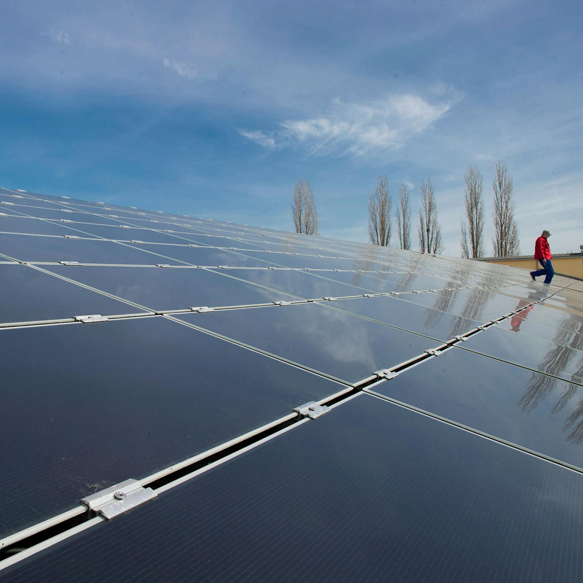 Das ist der Preis, den wir zahlen müssen, um Berlin klimaneutral umzugestalten