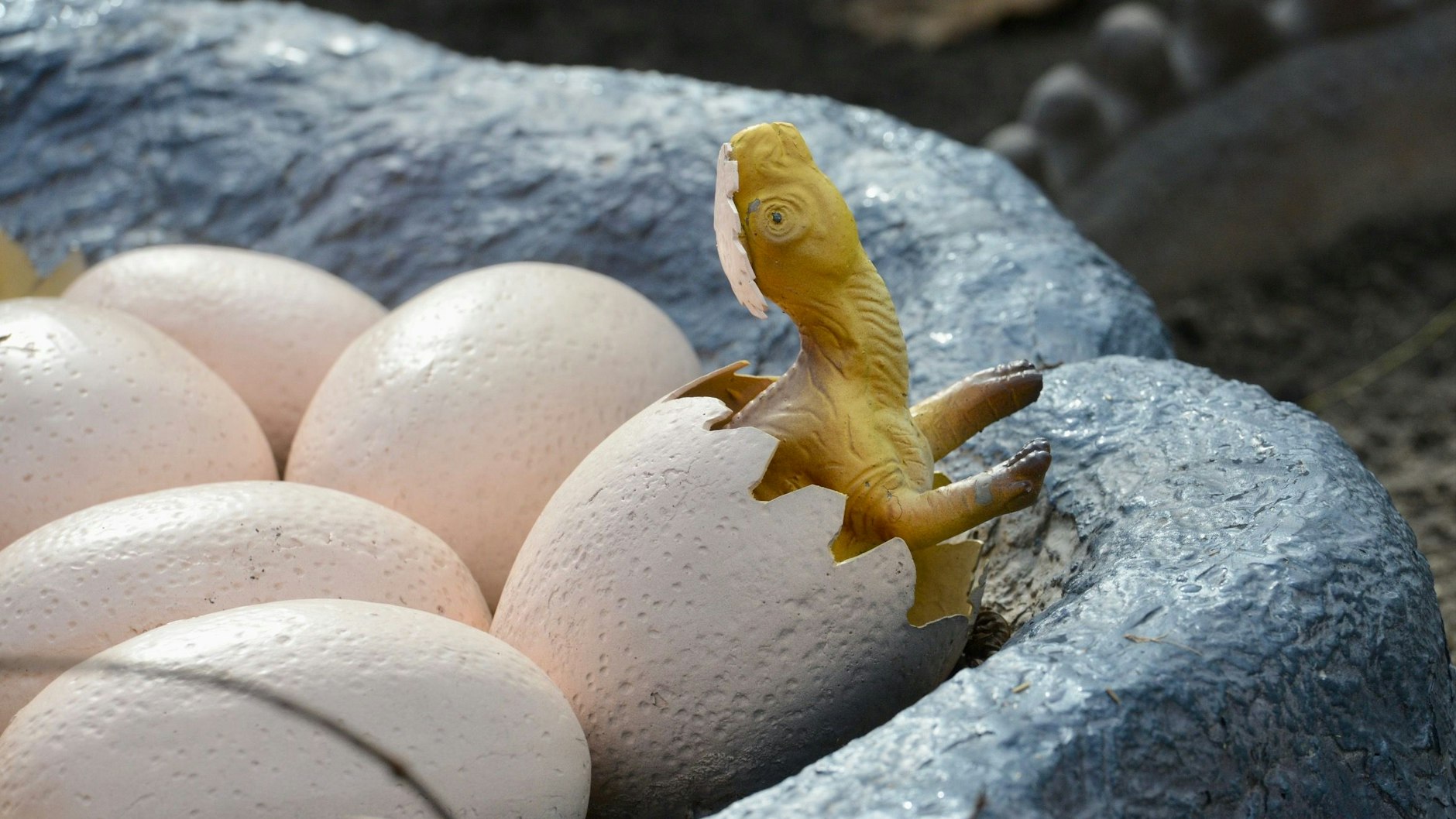 Kleine und auch sehr große Urzeitechsen im Berliner Tierpark lassen die Herzen der kleinen Fans höher schlagen.&nbsp;