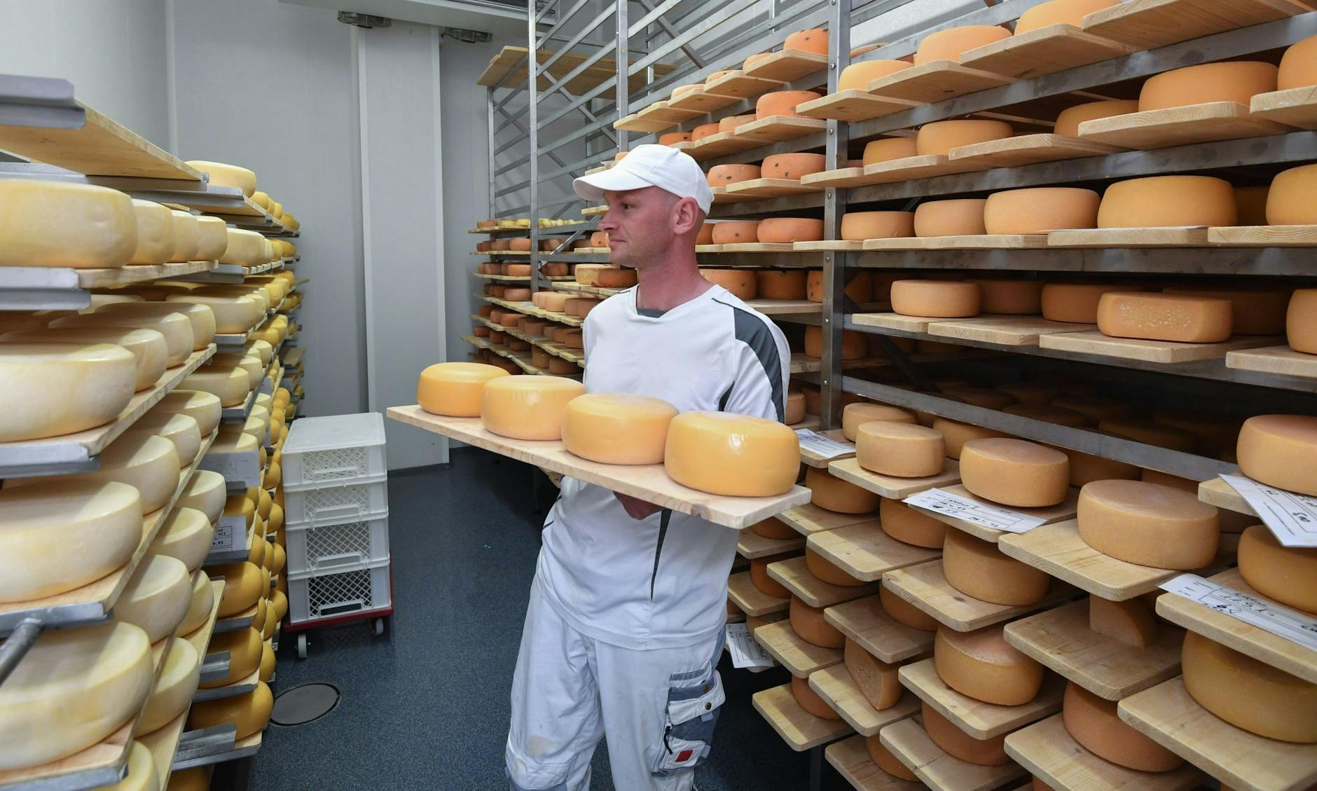 ARCHIV - Burkhard Kolloff arbeitet im Reiferaum des Öko-Hofs Brodowin. Der Betrieb erwartet am Donnerstag König Charles III.