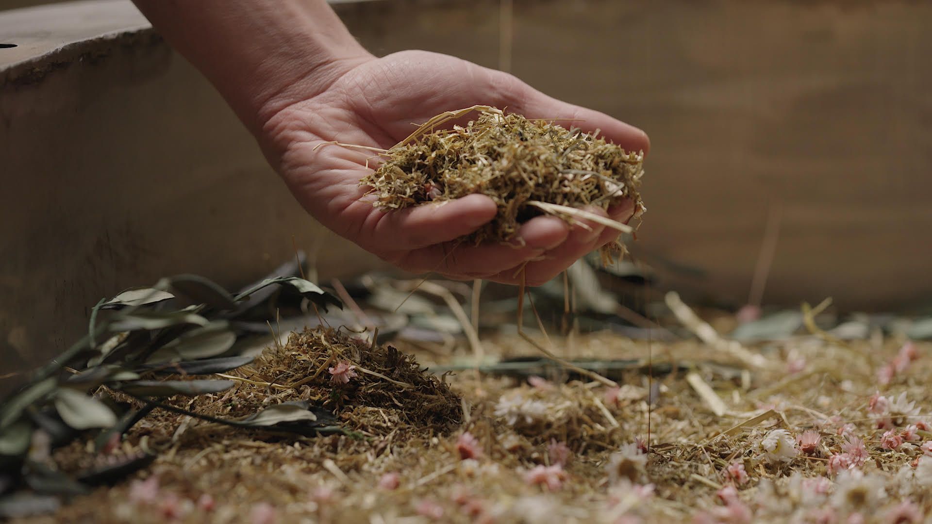 Image - Bestattungs-Trend „Reerdigung“: In Berlin können Sie sich bald kompostieren lassen!