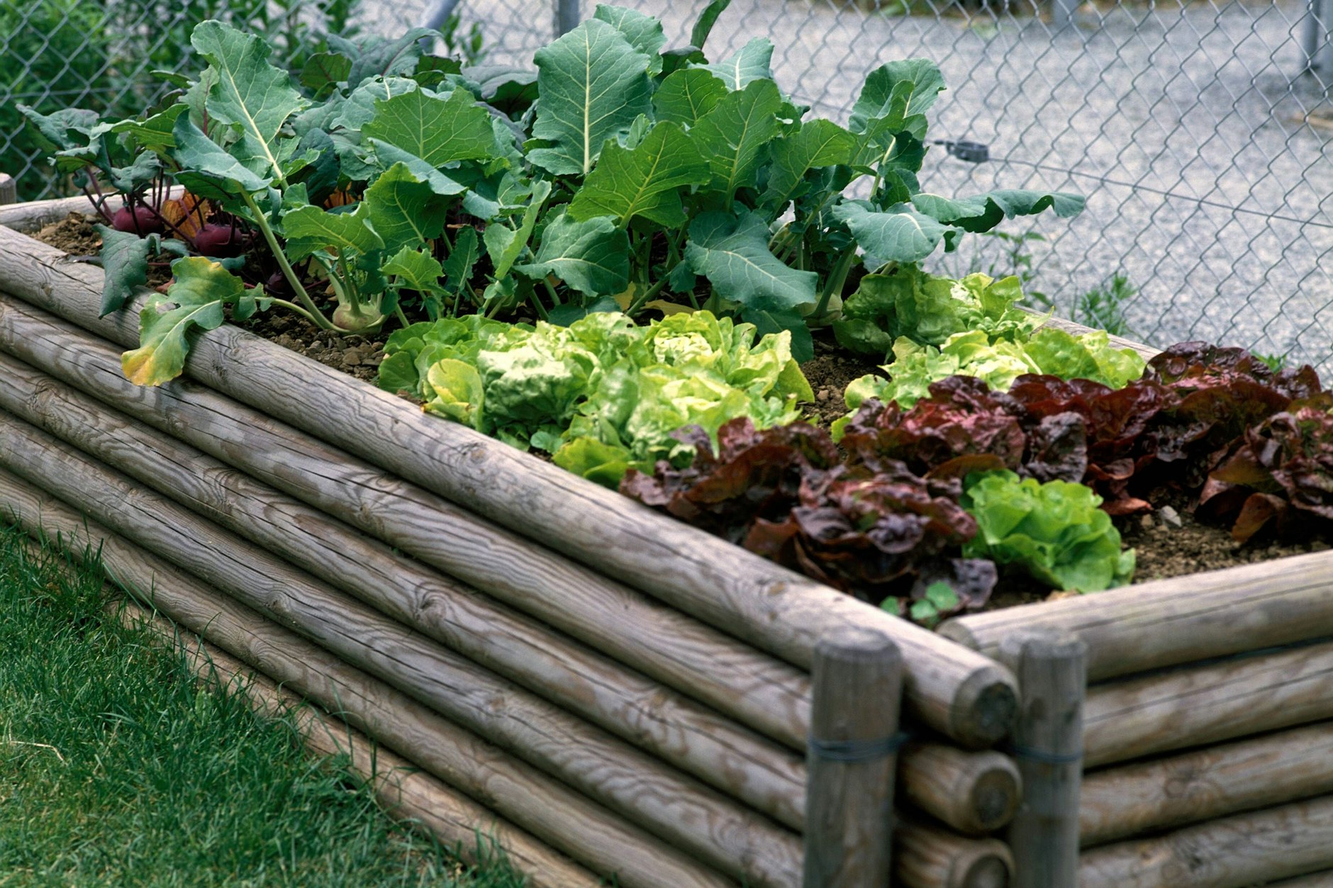 Gemüsehochbeet im Garten