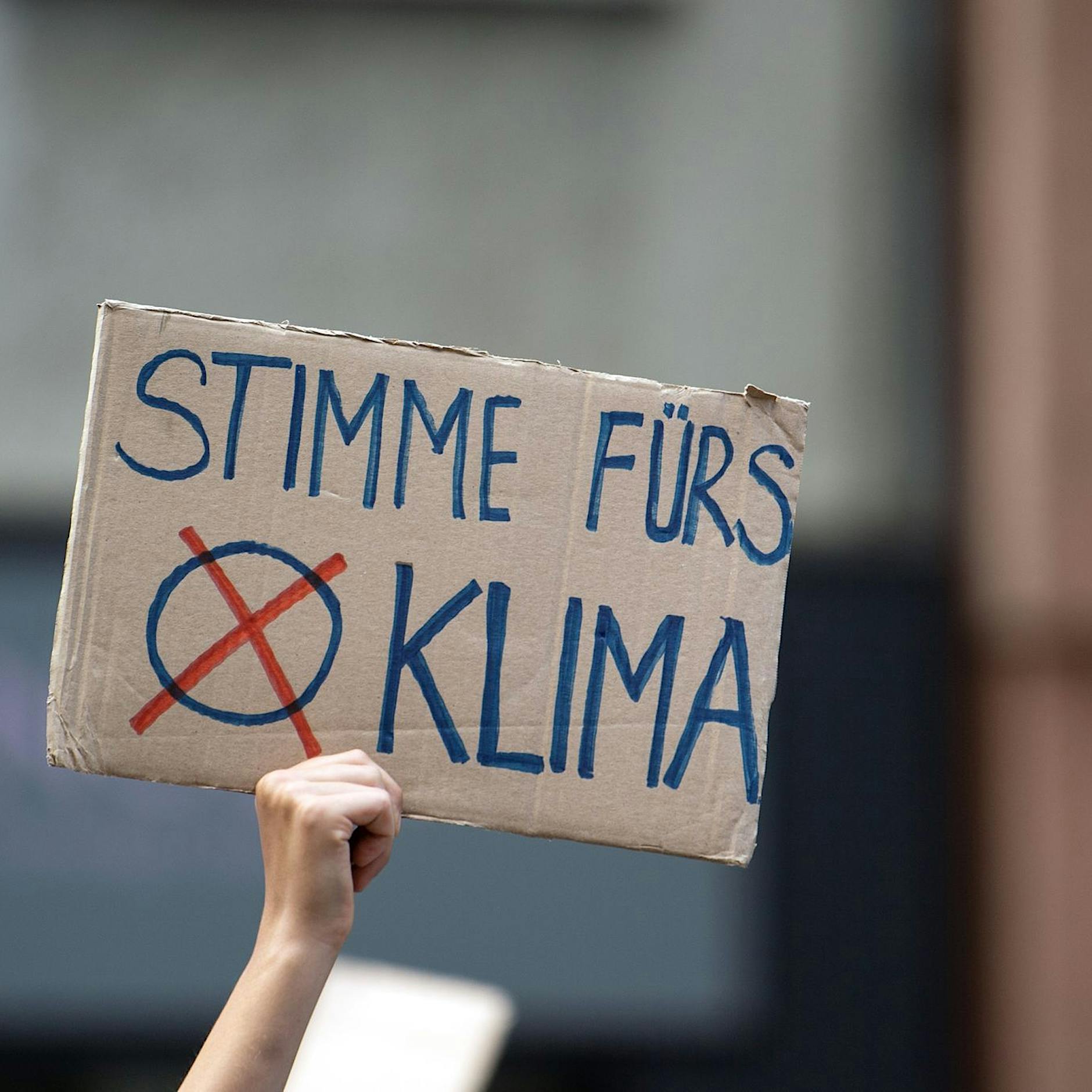 Koalitionsbeschlüsse: Demo von Fridays for Future