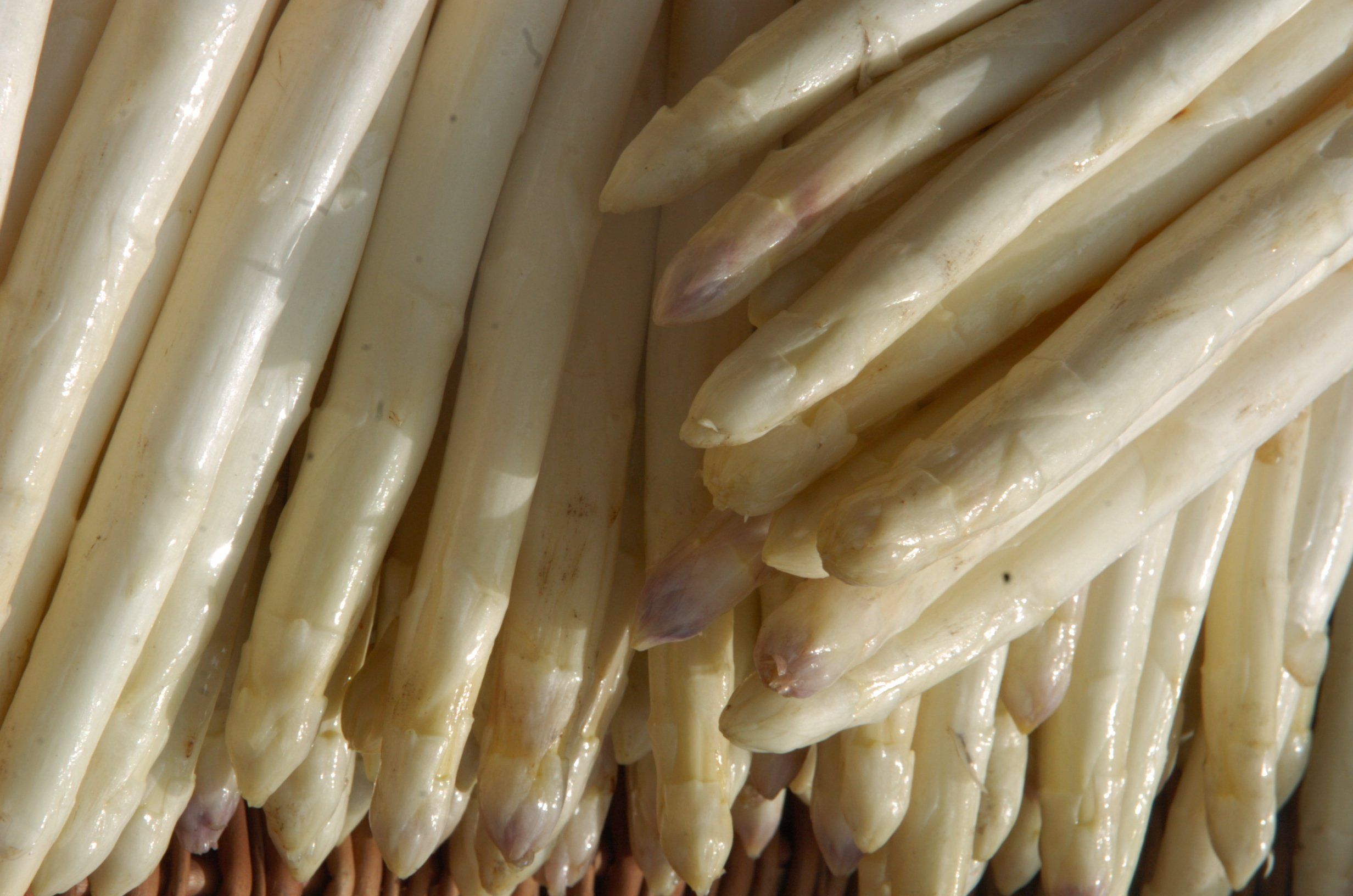 Spargel unter 10 Euro pro Kilo – Discounter preschen vor!