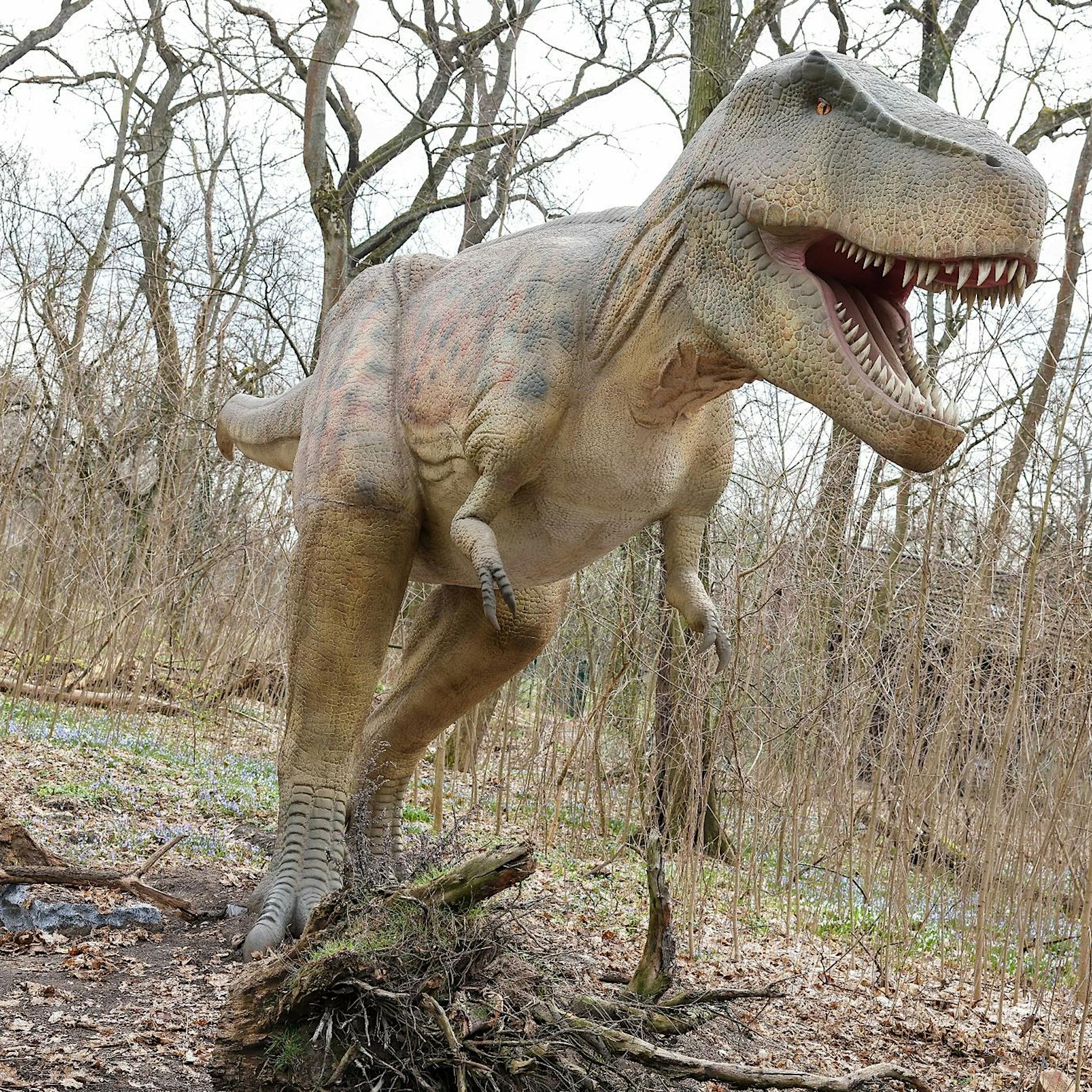 Ausstellung „Dinoworld Berlin“ eröffnet