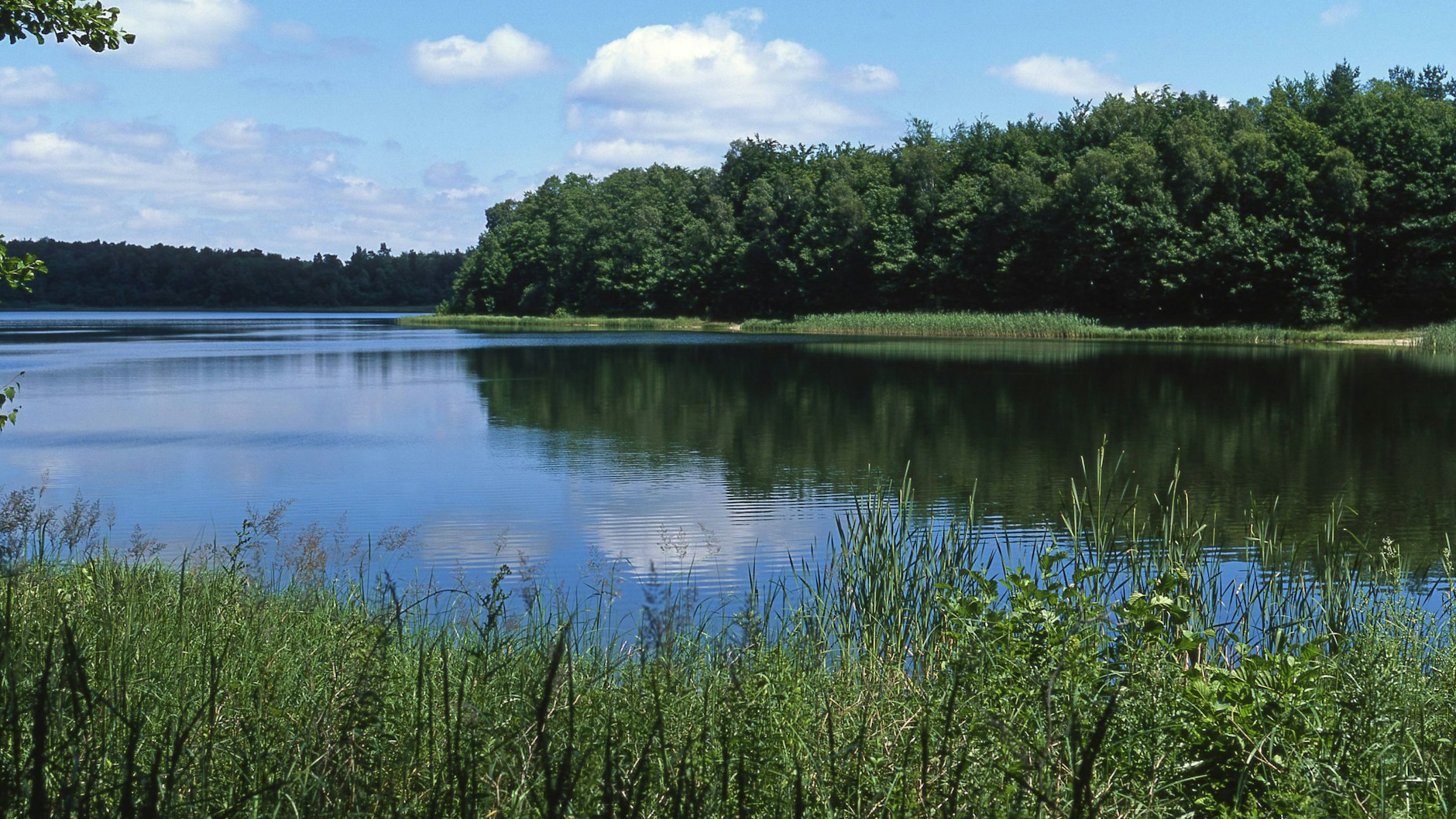 Im Sommer ist es im Umfeld von Seen deutlich kühler.