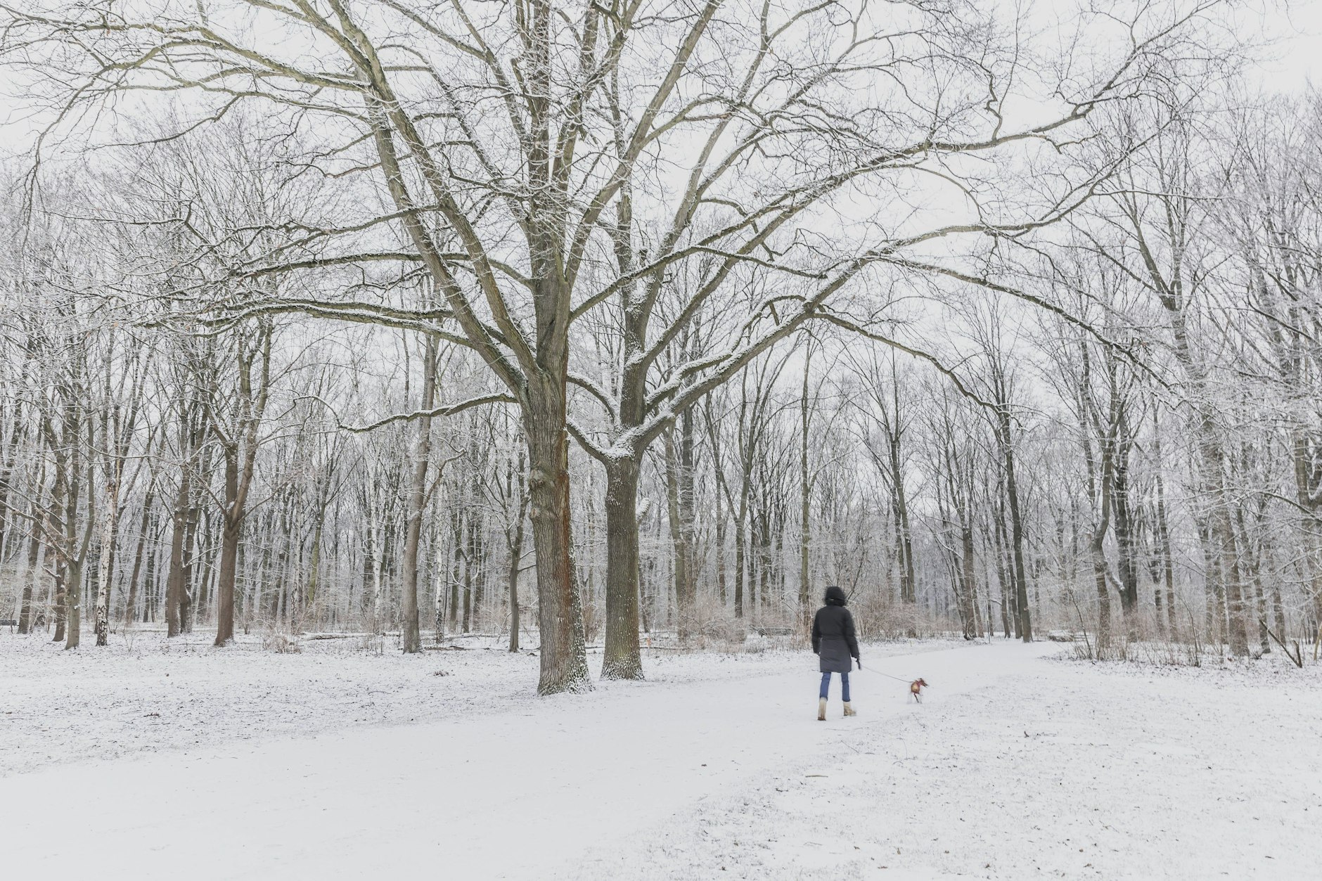 Wird es noch einmal richtig winterlich? So viel Schnee wie hier im Tiergarten wird es im April vermutlich nicht geben. Aber: Das Wetter bleibt unberechenbar.