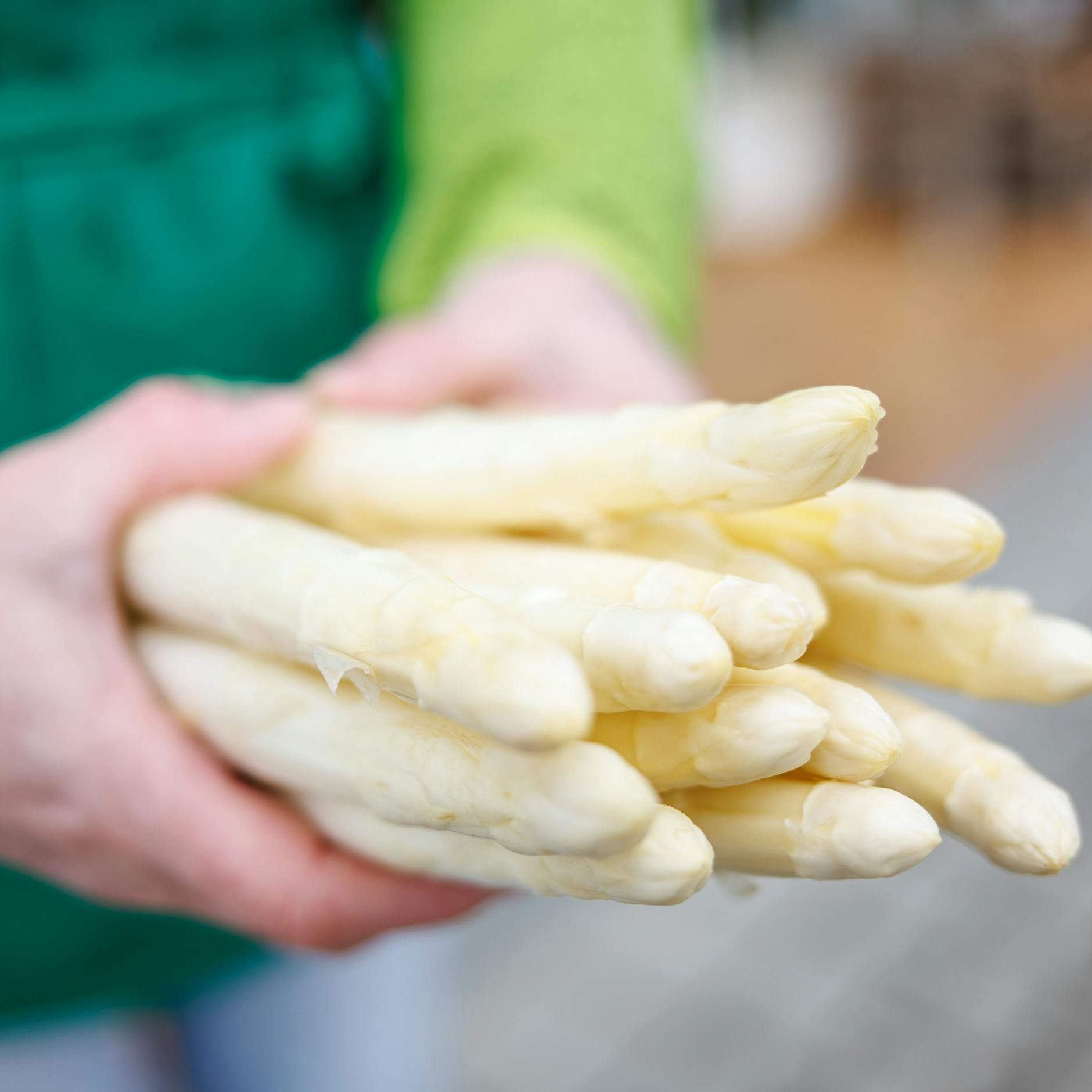 Wird es zu Ostern trotz der Kälte den ersten Beelitzer Spargel geben?