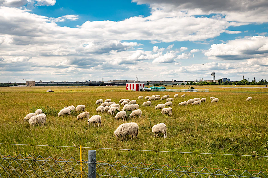 Bebauen oder so lassen wie es ist? Erneut diskutiert Berlin über die Zukunft auf dem Tempelhofer Feld.