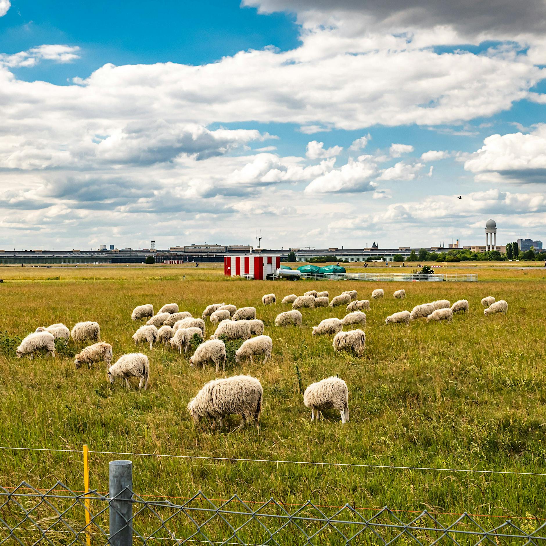 Berlin debattiert: War es das mit der Freiheit auf dem Tempelhofer Feld?