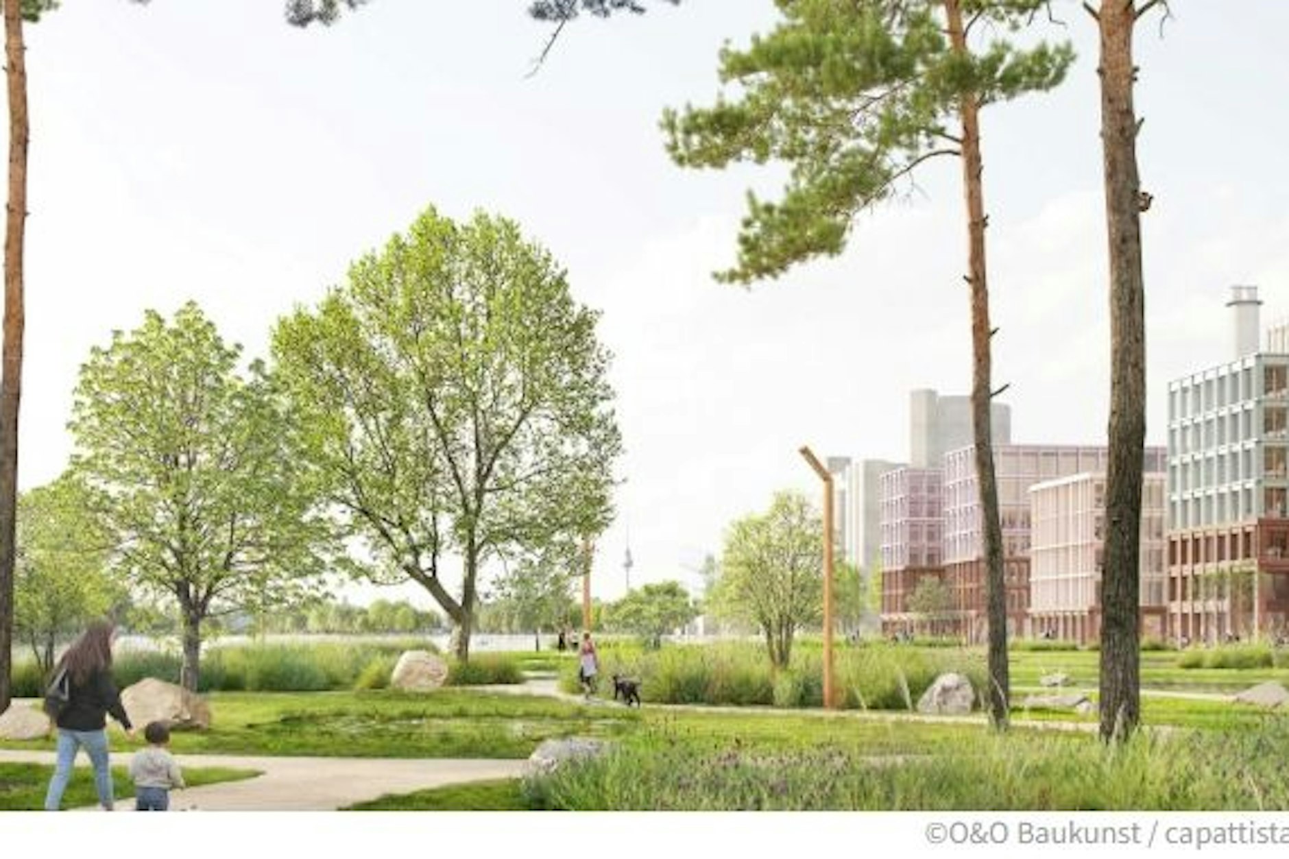 So soll der für Passanten freigegebene Park zwischen den Neubauten und der Spree aussehen. Hinten links sieht man das Riesenrad Plänterwald, rechts ragt ein Schornstein vom Kraftwerk Klingenberg über die Häuser.