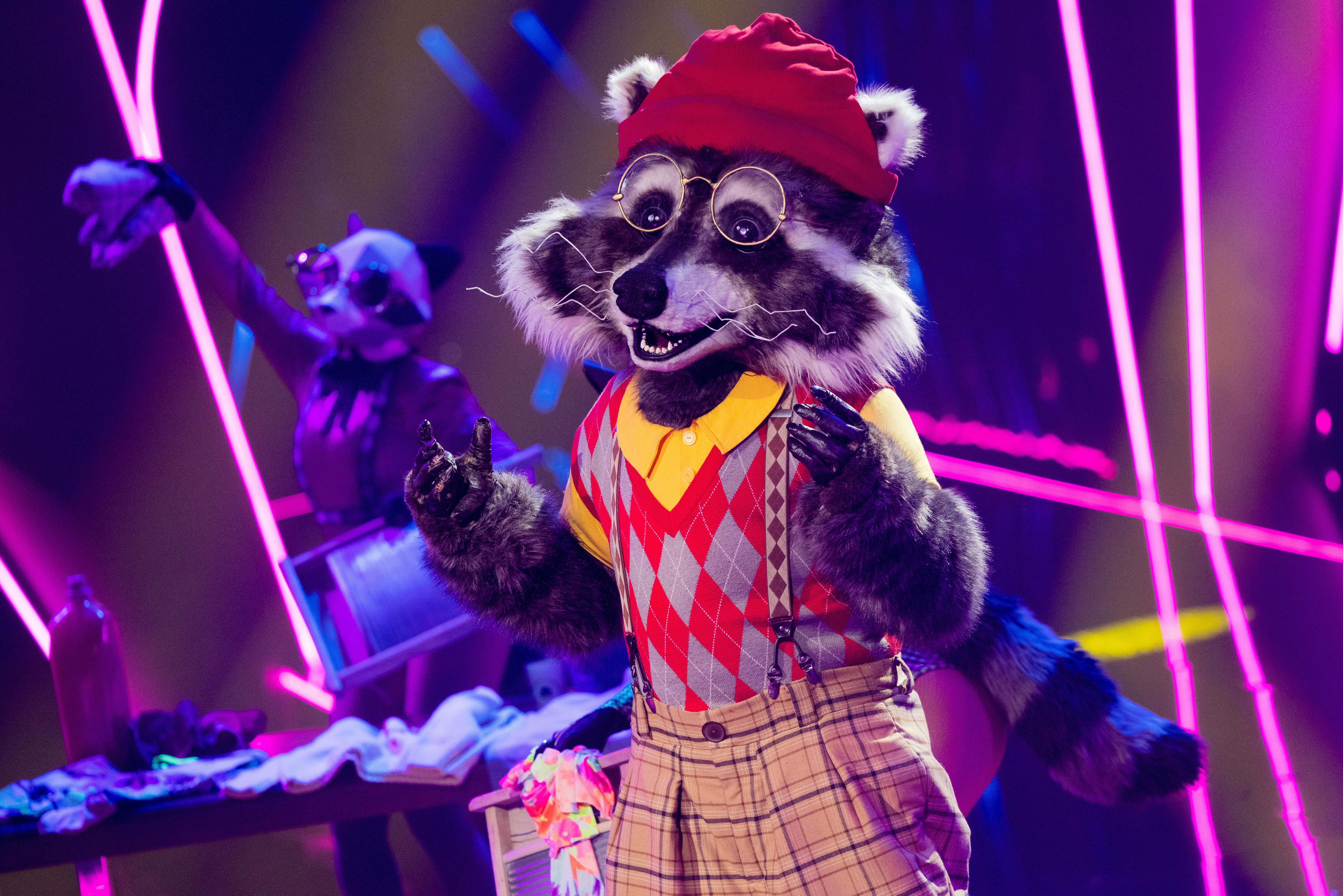 Image - „The Masked Singer“: Der Waschbär ist raus – und ER steckte im Kostüm