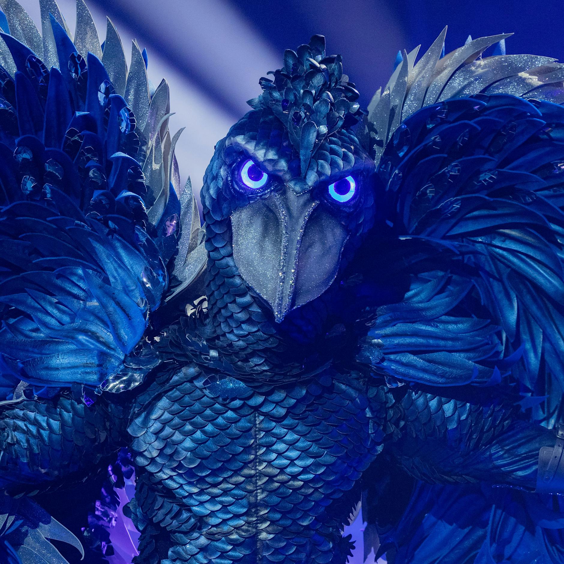 Verwirrung bei „The Masked Singer”: ER ist der Schuhschnabel!
