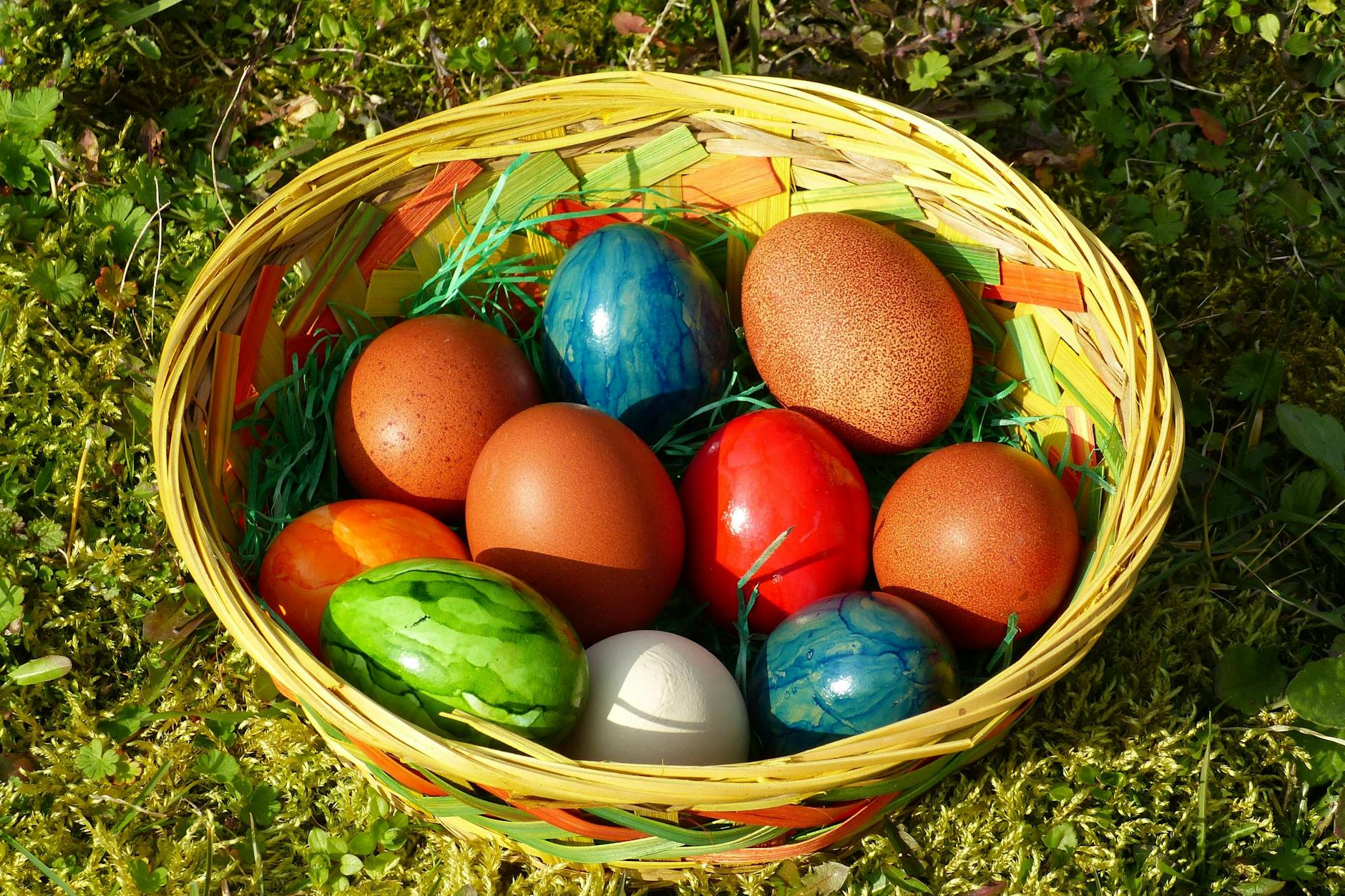 Ein Osternest mit bunten Eiern kann in diesem Jahr teurer als sonst werden.