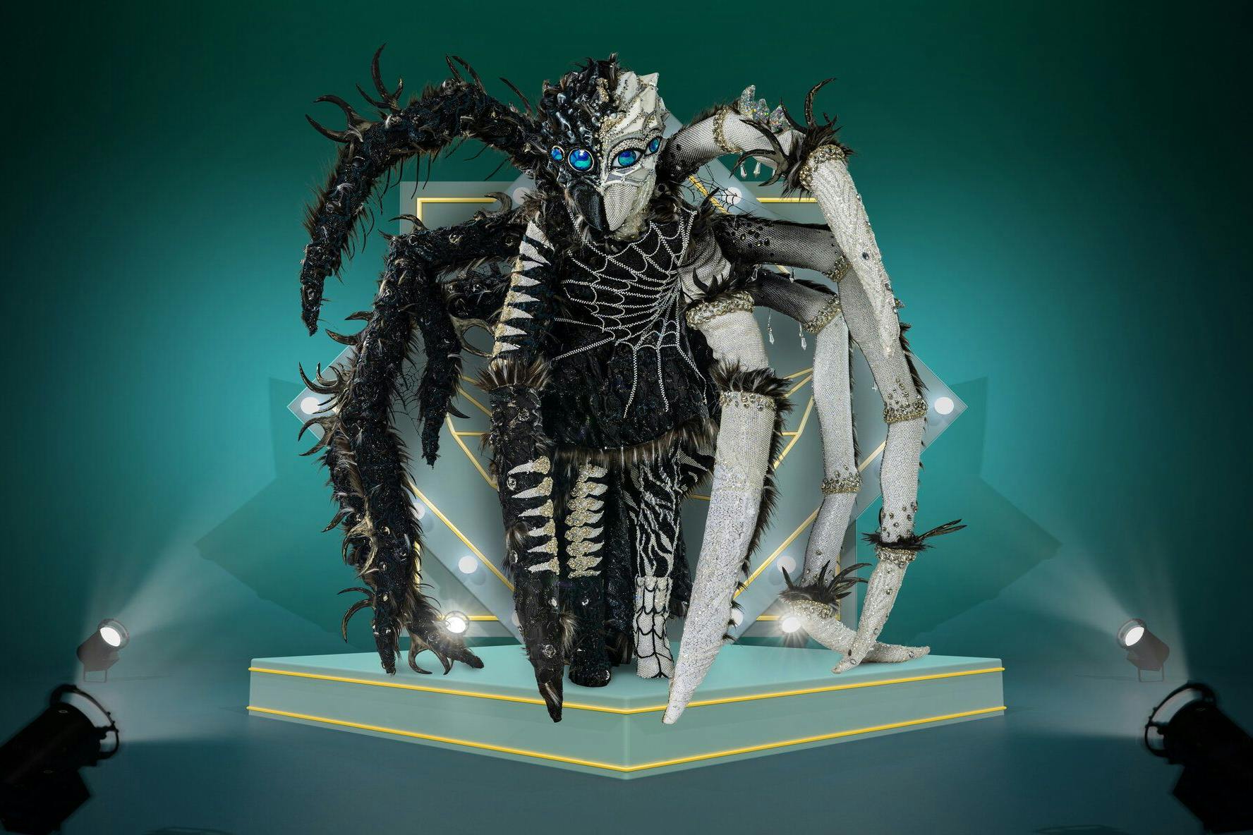 Acht Beine und reichlich glitzernde Strass-Steine: So sieht das Diamantula-Kostüm von „The Masked Singer“ vollständig aus.