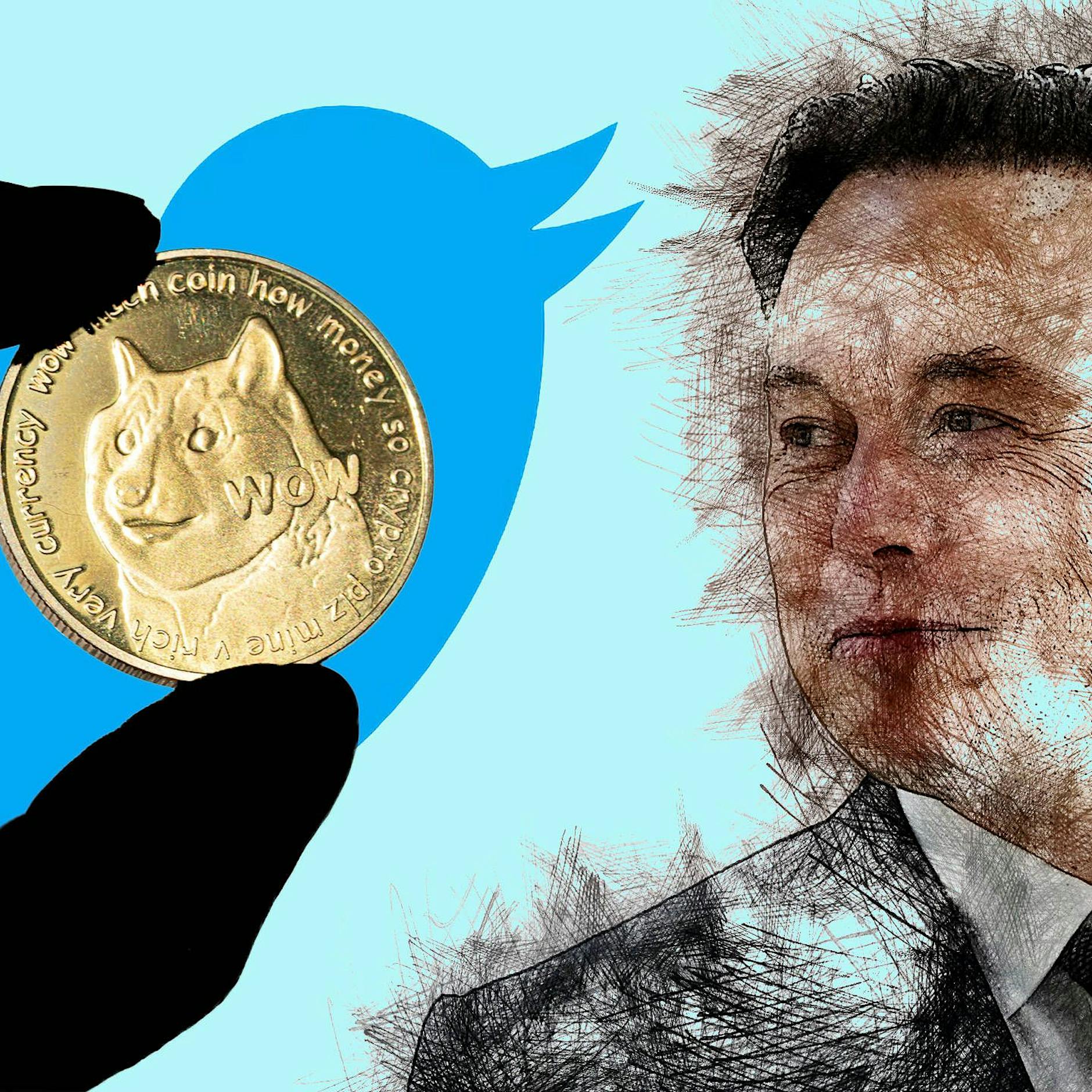 Elon Musk: Jetzt macht er Doge zum Twitter-Logo