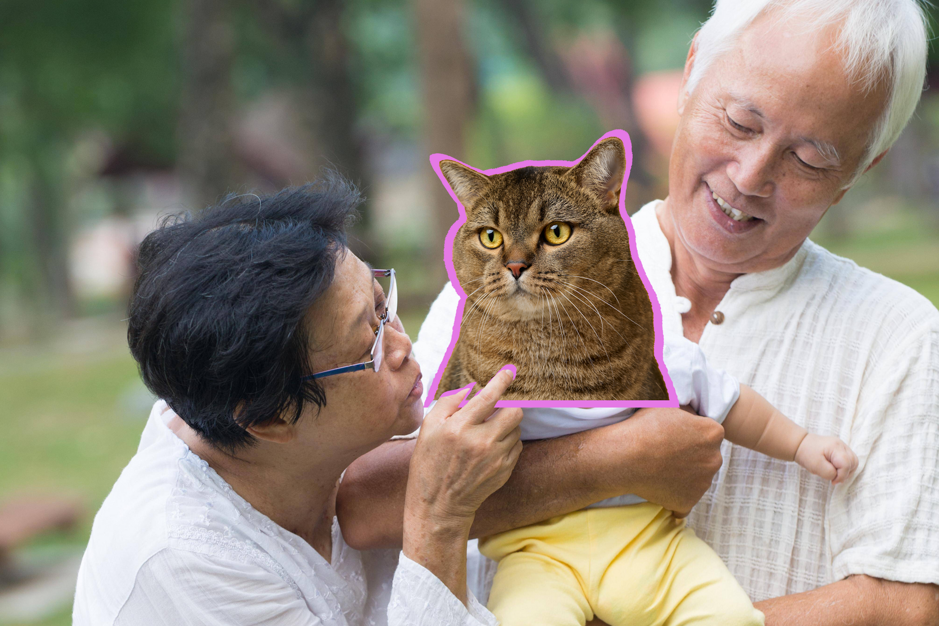 Macht weniger Arbeit als ein Kind und muss nicht andauernd neu eingekleidet werden: eine Katze.