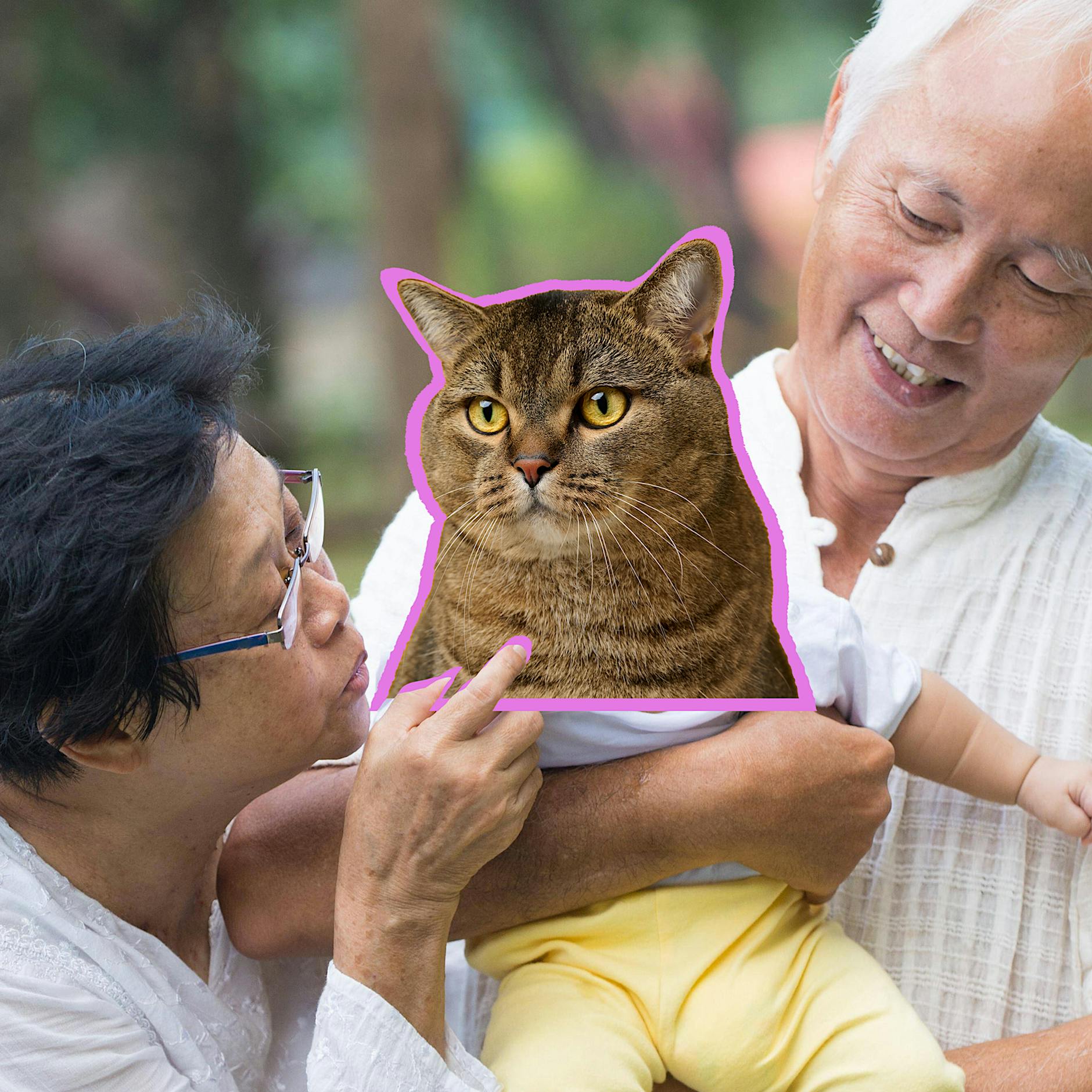 Geburtenrate in Taiwan: Mehr Haustiere als Kinder