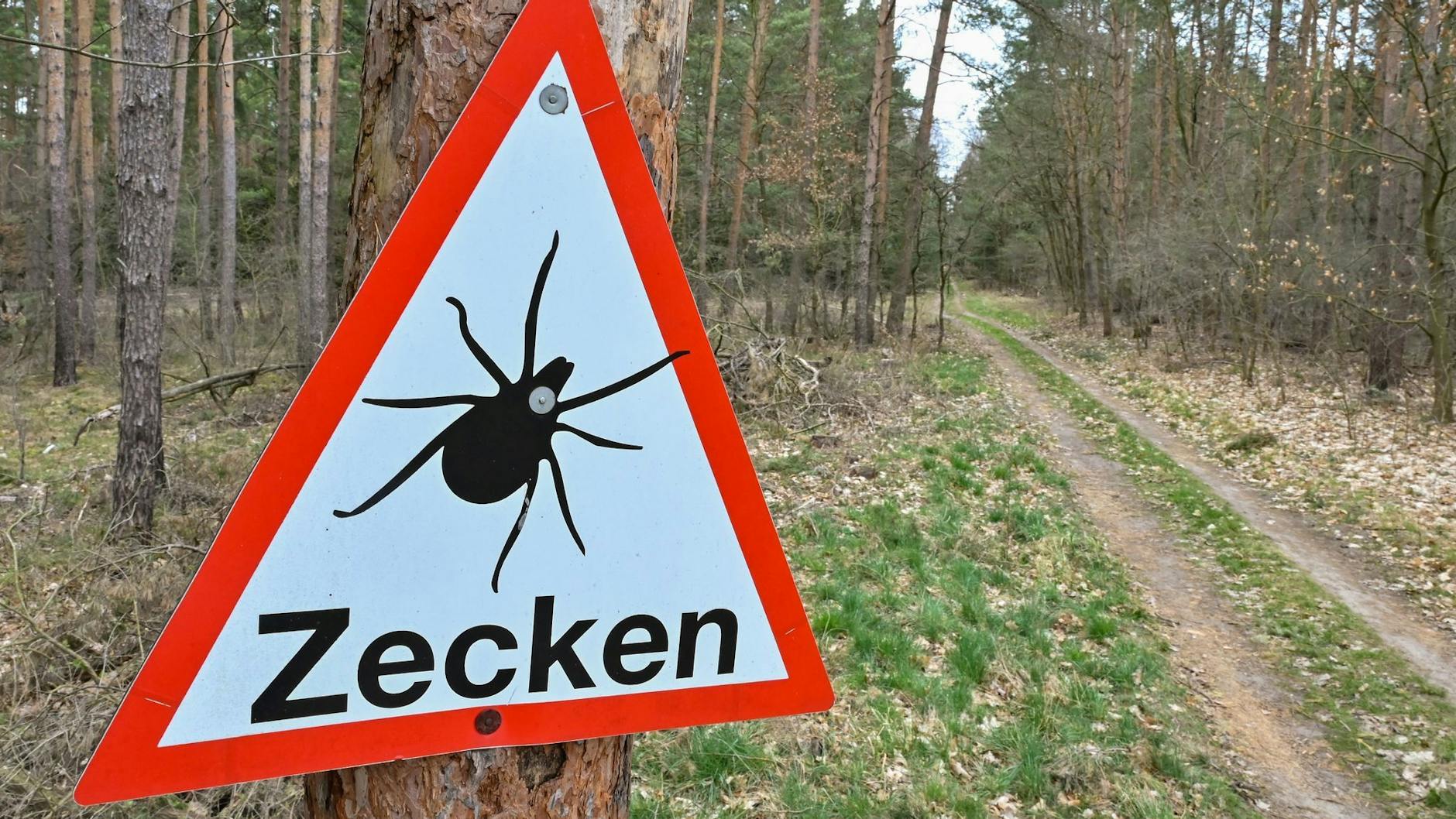 Ein Schild in einem Wald in Müllrose (Brandenburg) warnt vor Zecken.