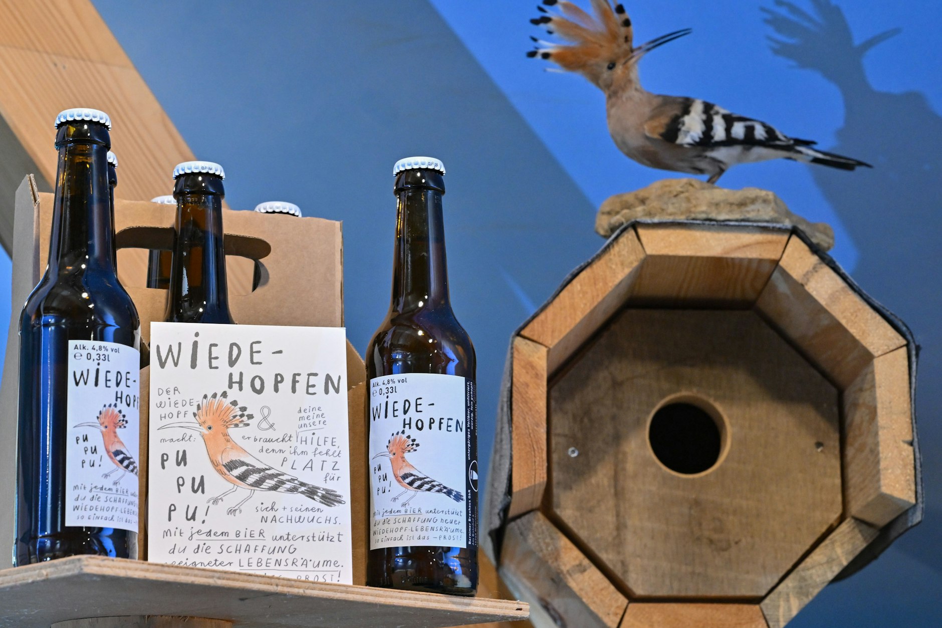 Bierflaschen der Marke „Wiedehopfen“ stehen im Natur-Erlebniszentrum Wanninchen der Sielmann-Stiftung neben einem Brutkasten und einem präparierten Wiedehopf.