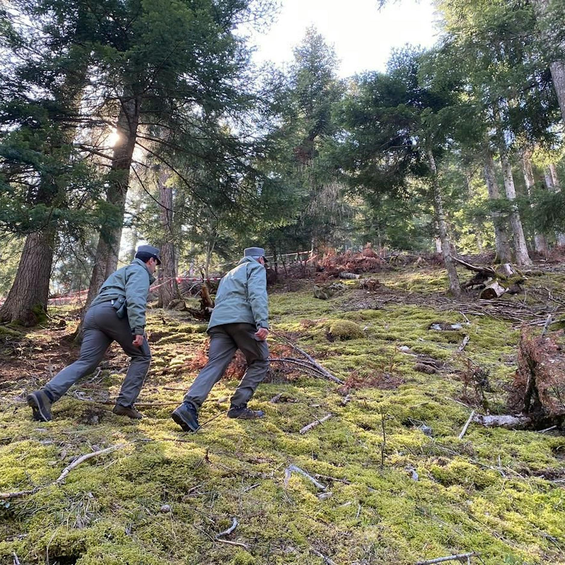 Toter Jogger in Norditalien – war es ein Bär?