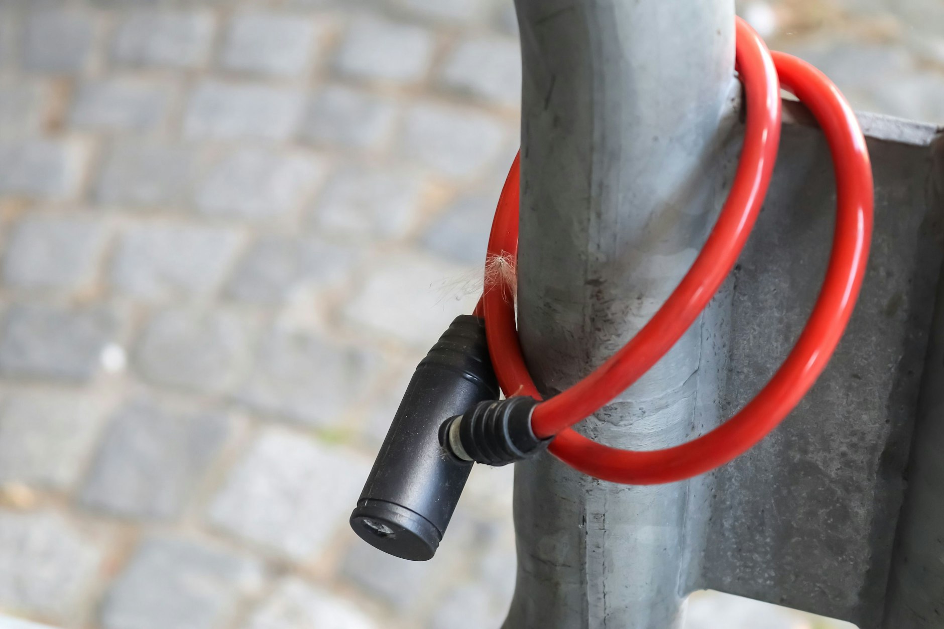 Manchmal verschwinden Fahrräder über den Winter einfach. Zum Glück.