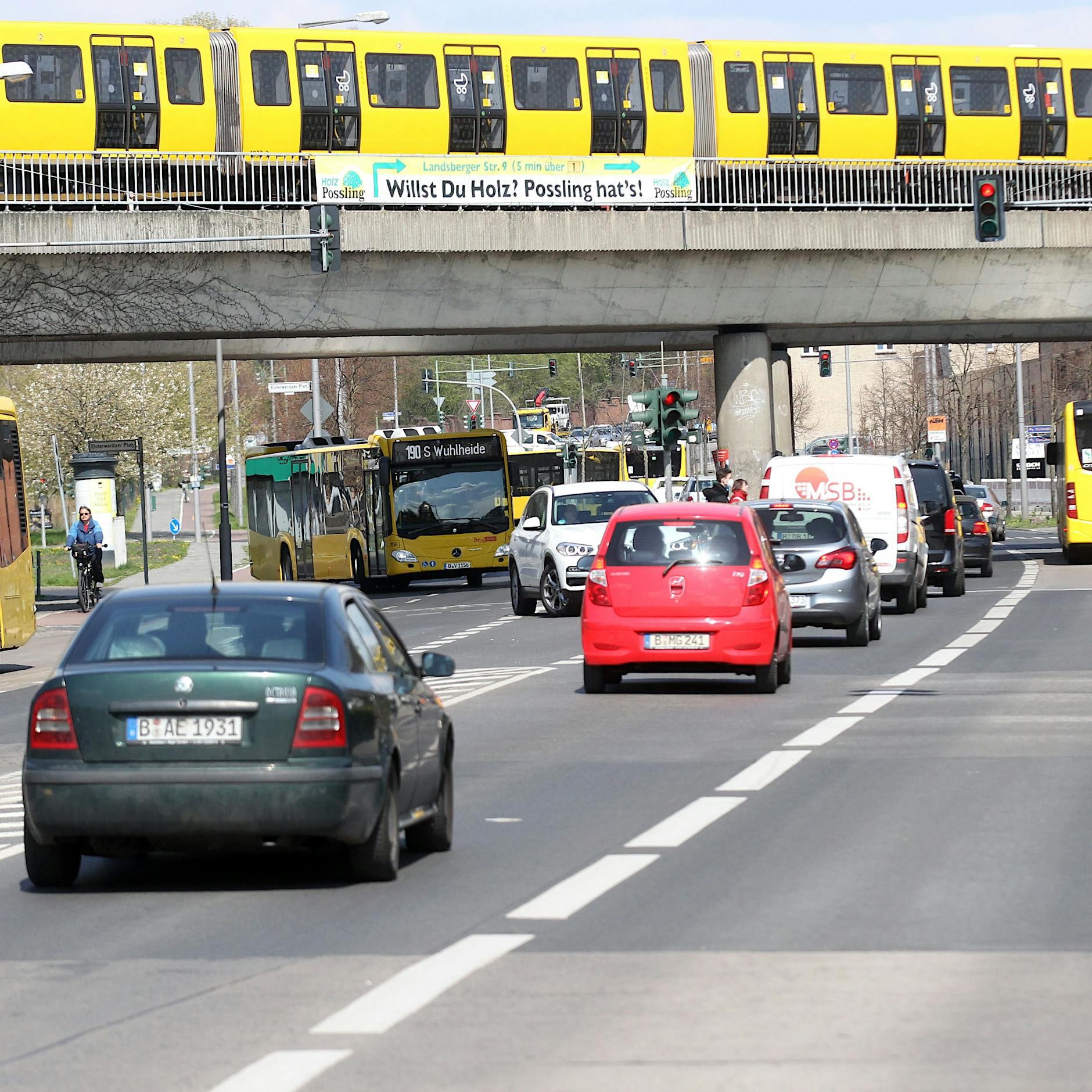 So groß wie der Schlosspark: Für die TVO müsste viel Berliner Wald gefällt werden