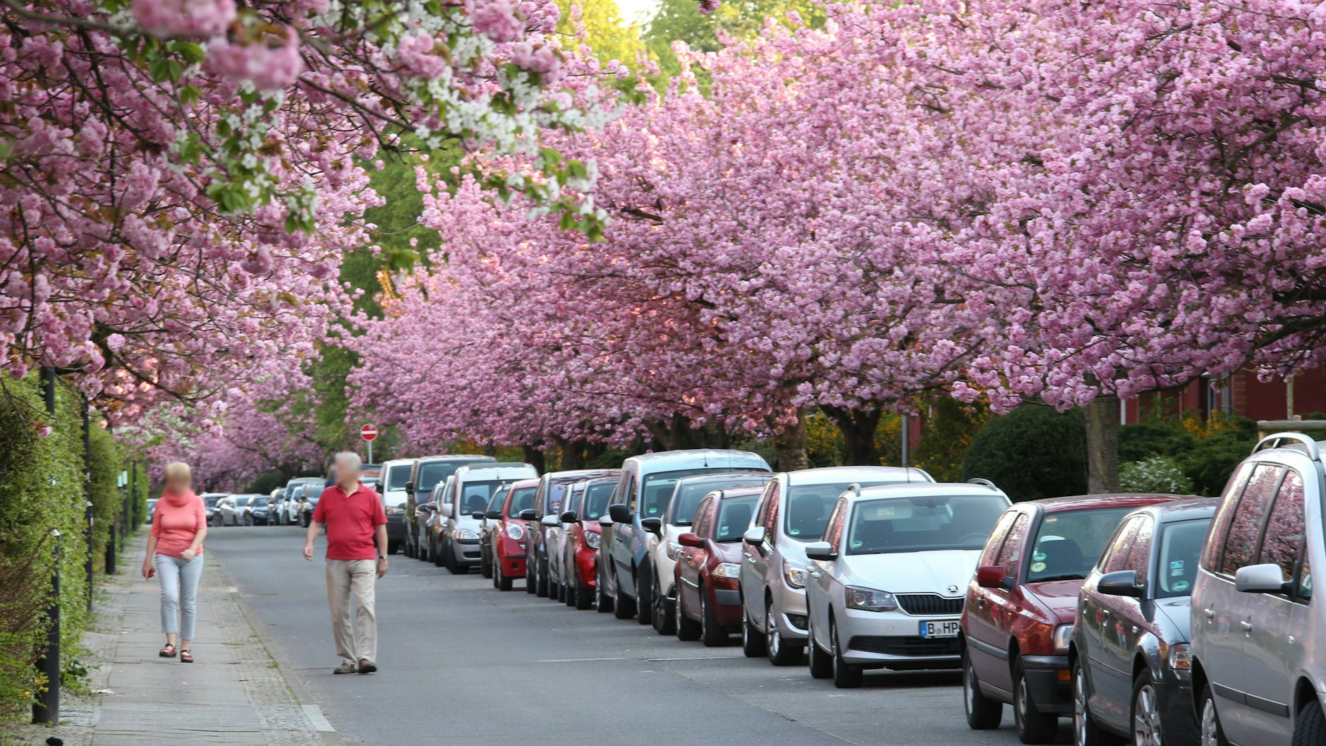 Bei der Britzer Baumblüte gibt es über Ostern in Berlin nicht nur blühende Bäume, sondern auch allerlei Fahrgeschäfte zu bestaunen.